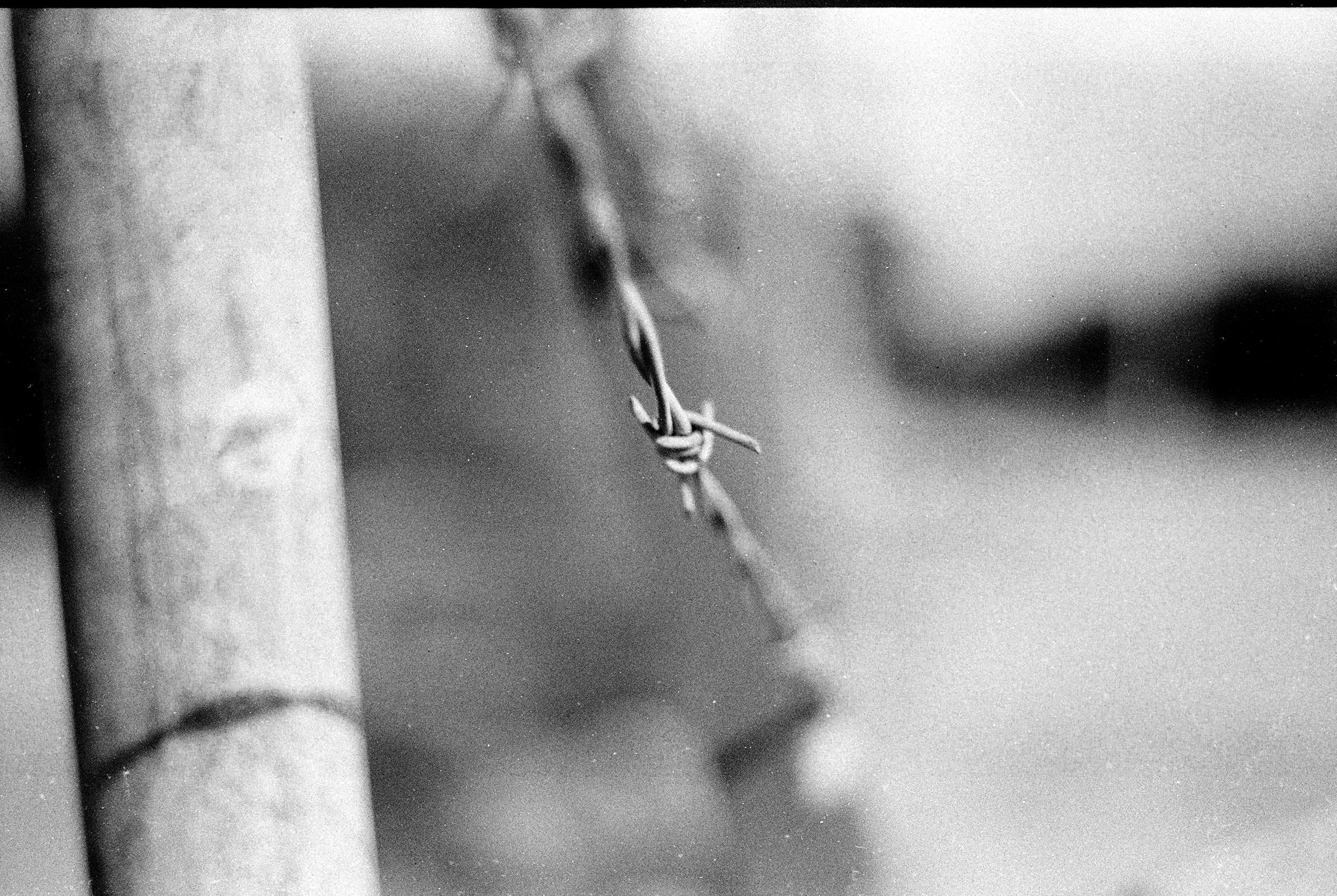 Northwest Highway #10