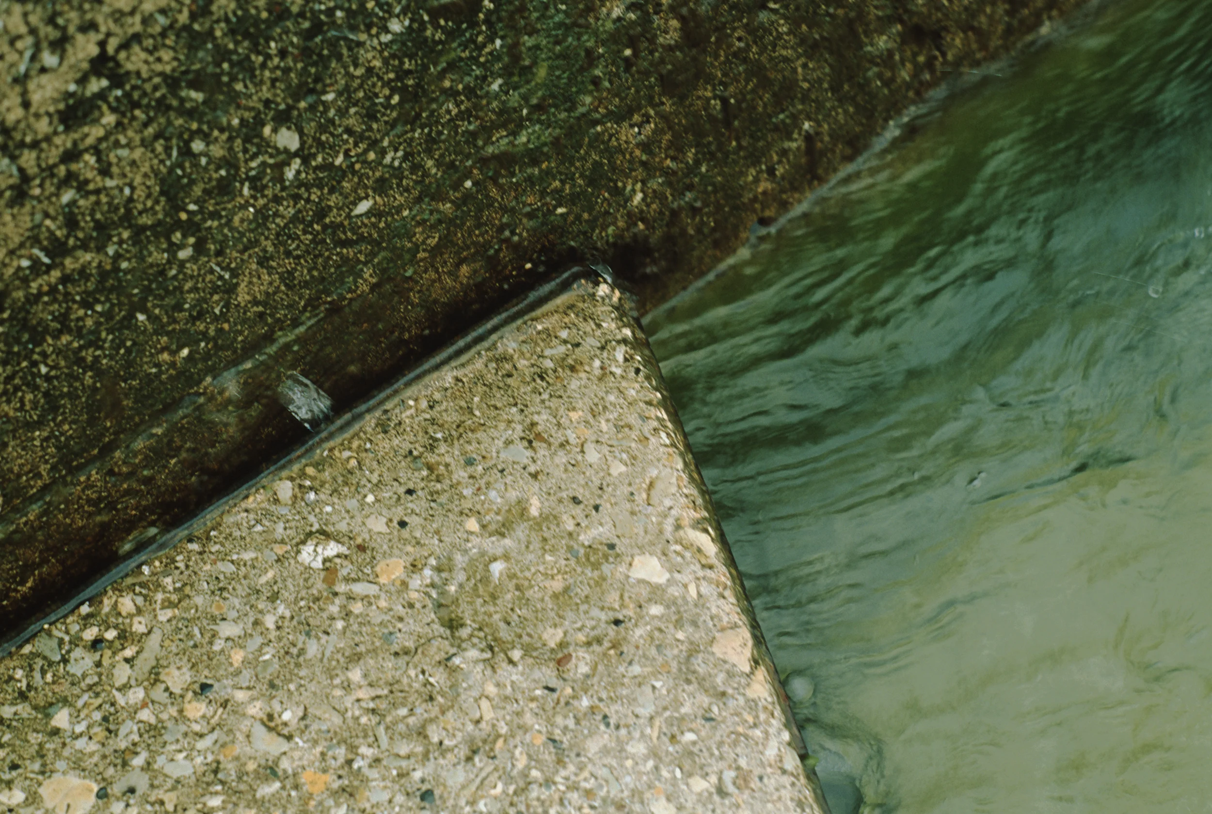 Fullerton Lakefront #17