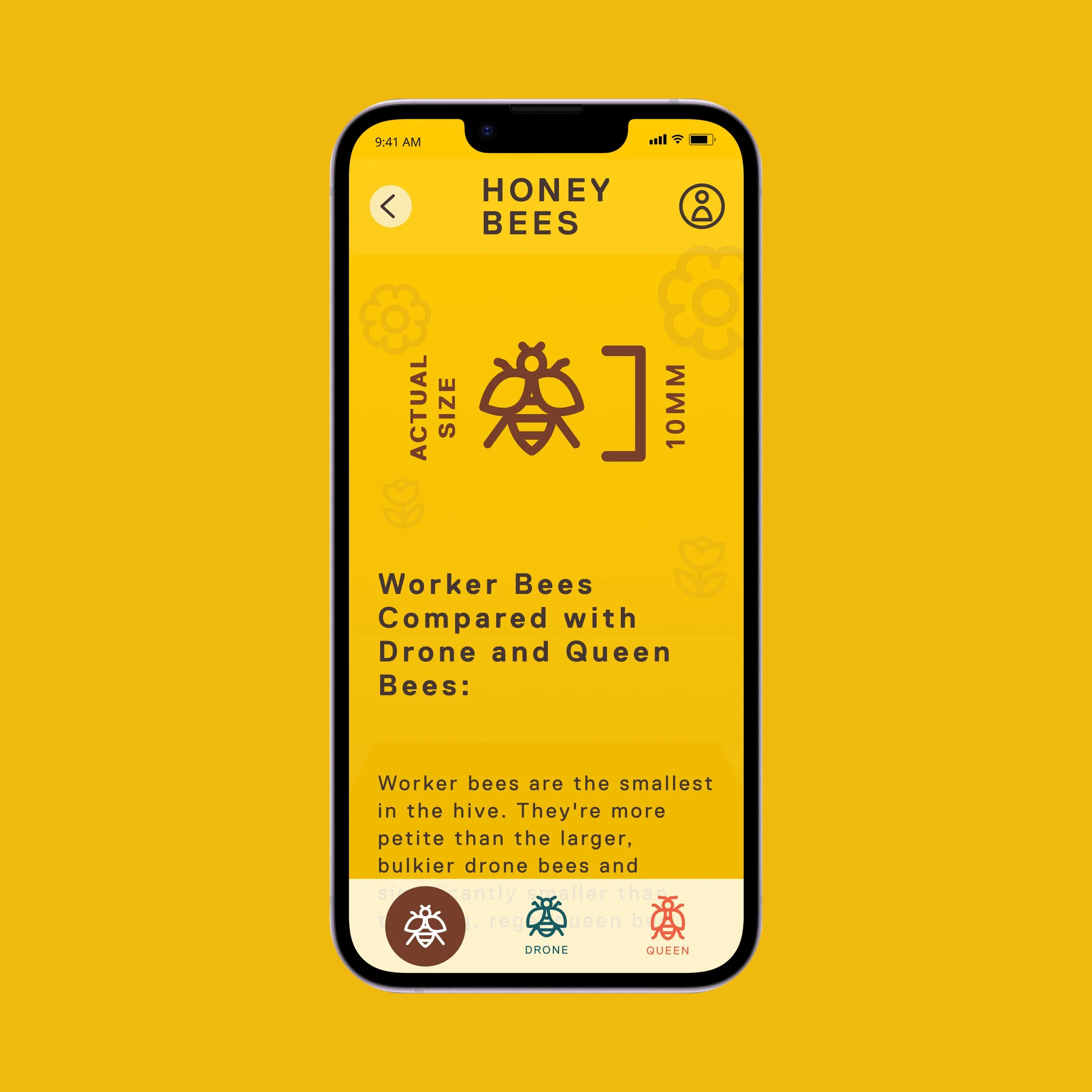 Honey Bees App Screen 2
