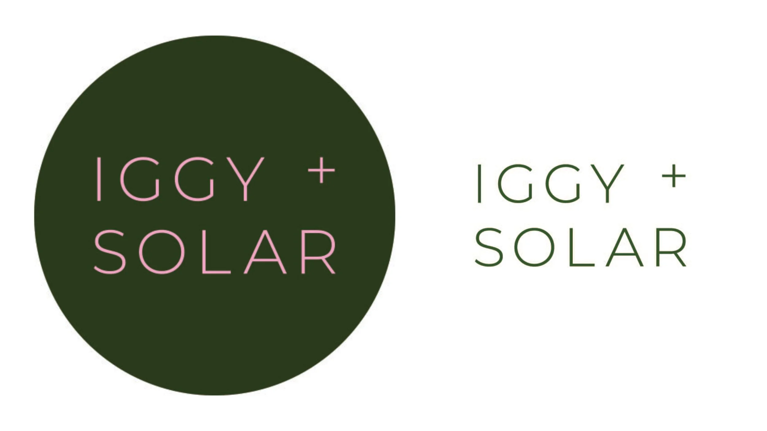  Branding for Iggy + Solar, vegan baked food. 