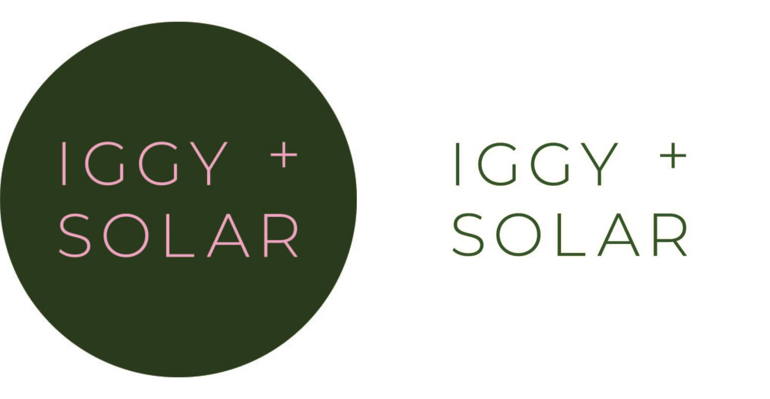  Branding for Iggy + Solar, vegan baked food. 