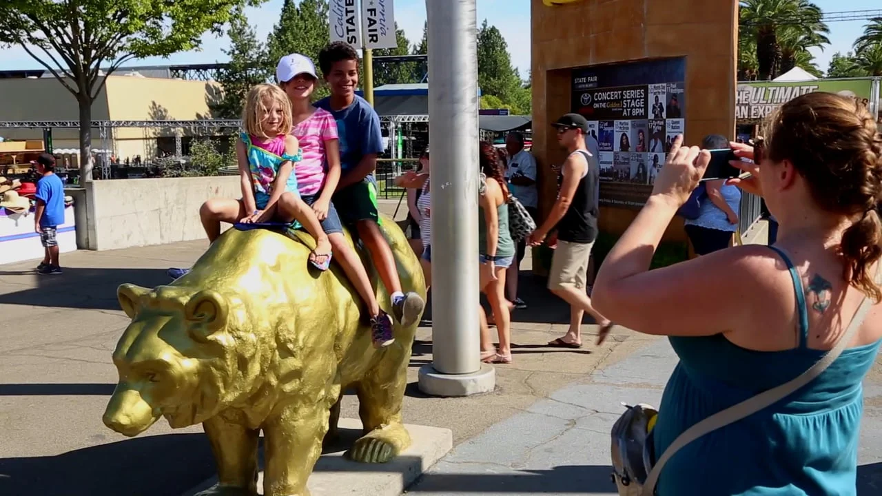 Interactive Ticketing At California State Fair