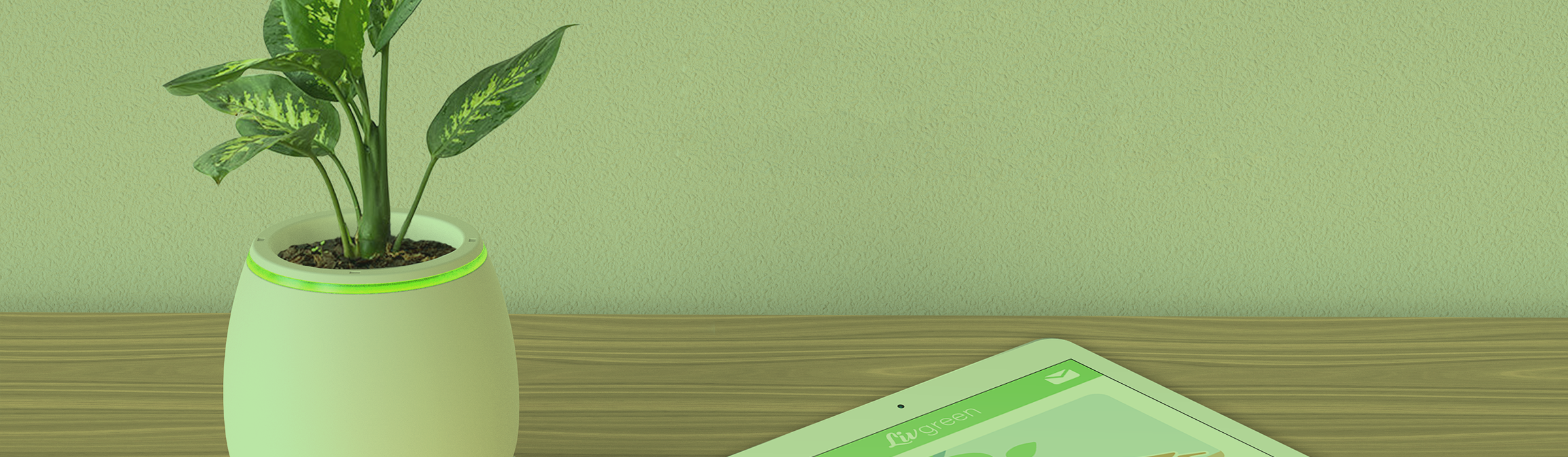 LG banner.png