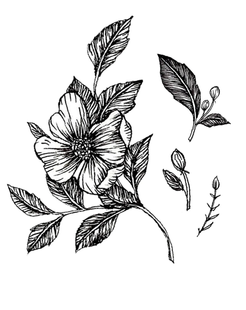 DR_Floralpieces1.jpg