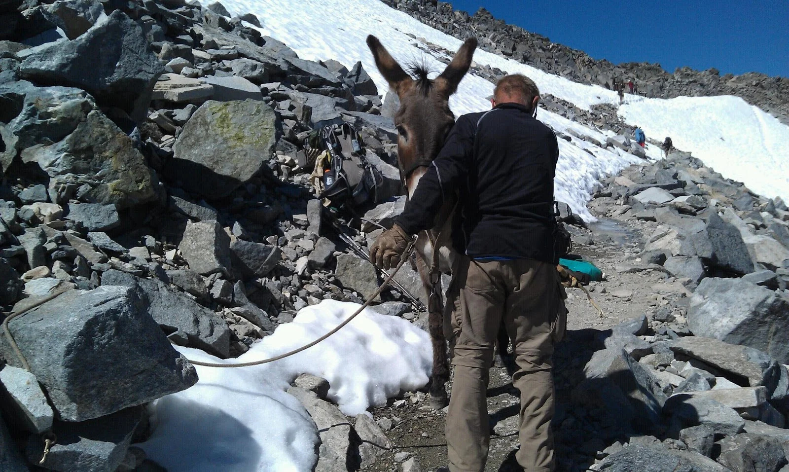 Day 46: Wednesday, June 19