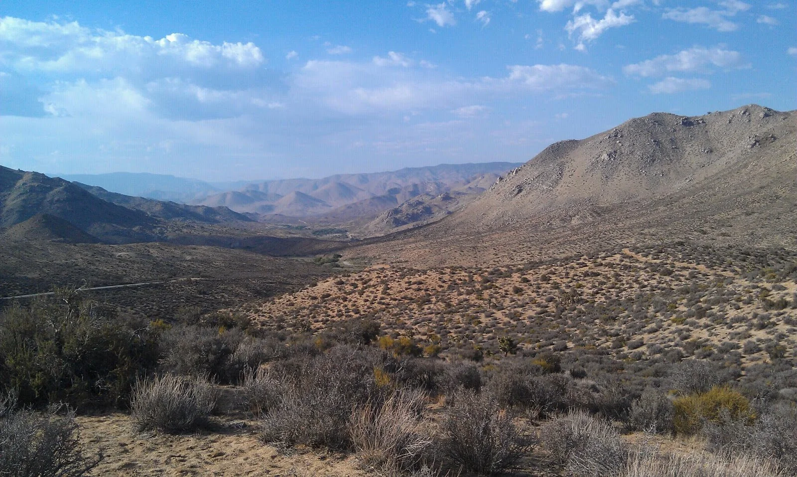 Day 34: Friday, June 7