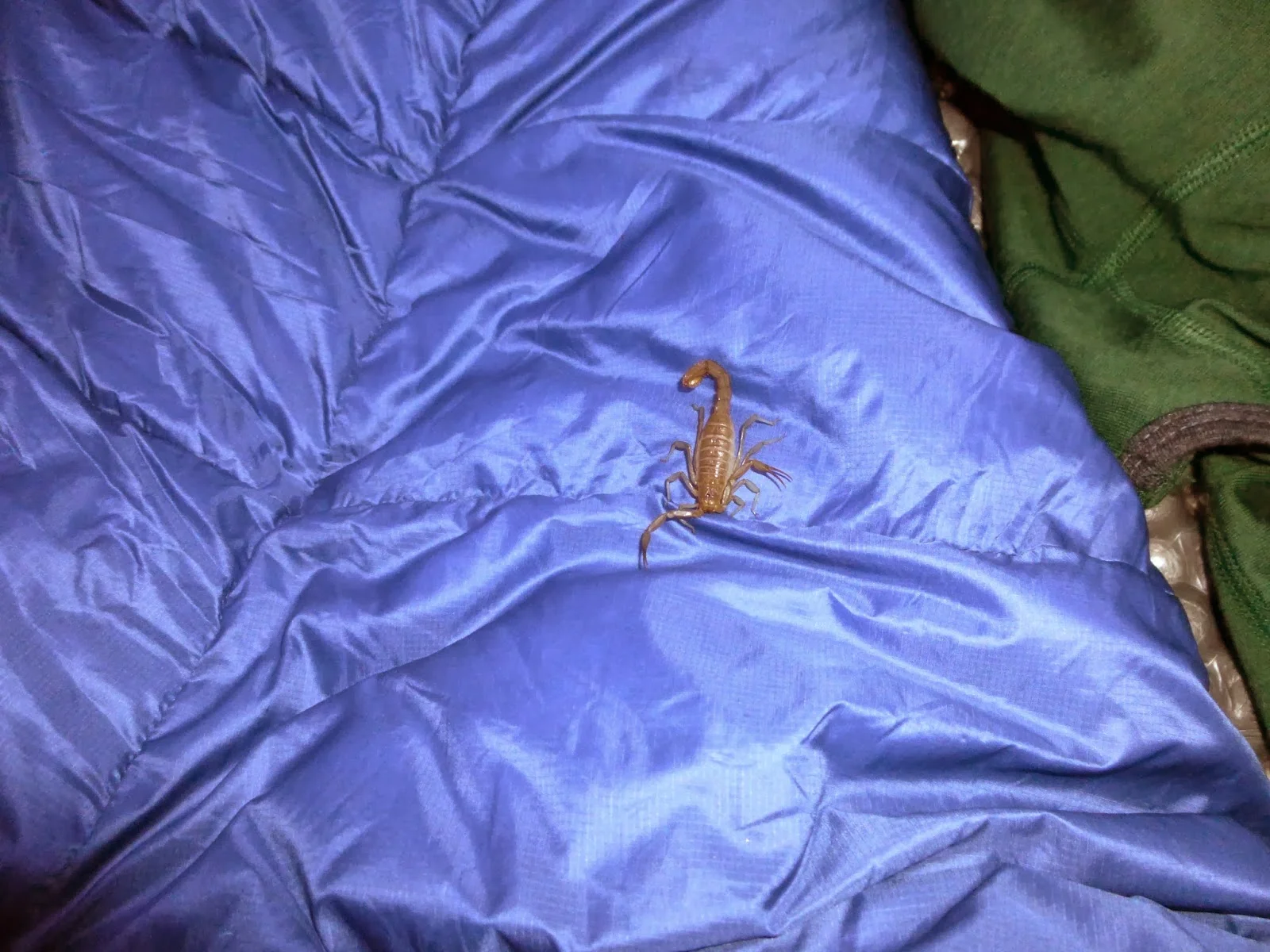 Day 9: Monday, May 13