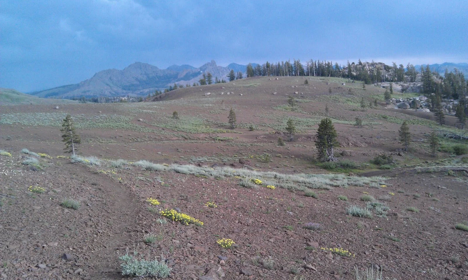 Day 60: Wednesday, July 3