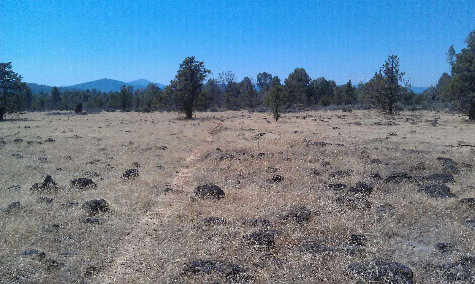 Day 79: Monday, July 22