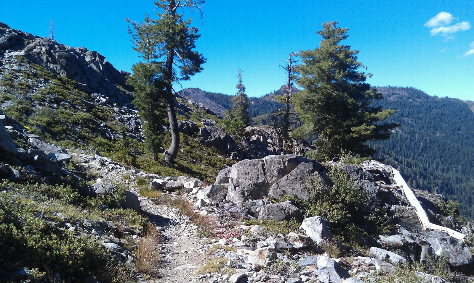 Day 90: Friday, August 2