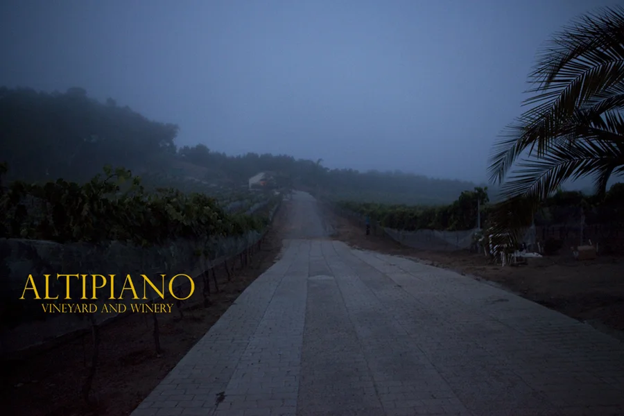 Altipiano Vineyard and Winery taken at dawn