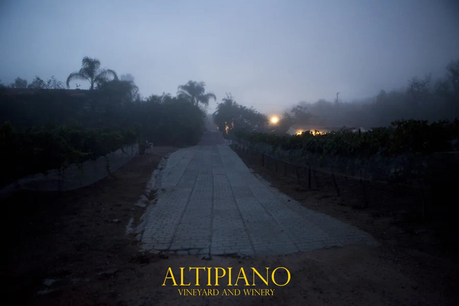 Altipiano Vineyard and Winery