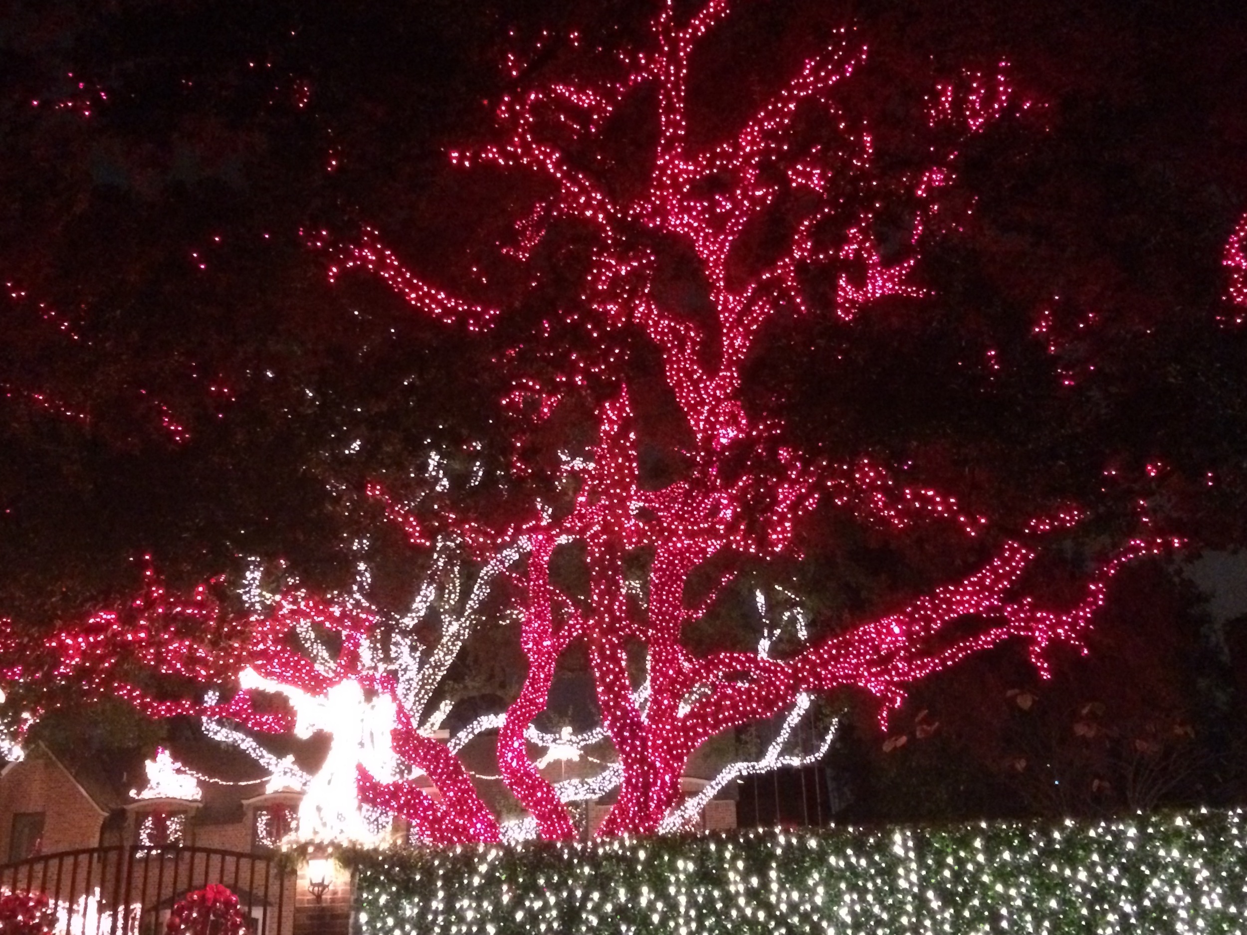 Holiday Lights in Houston. They look remarkably like vessels!