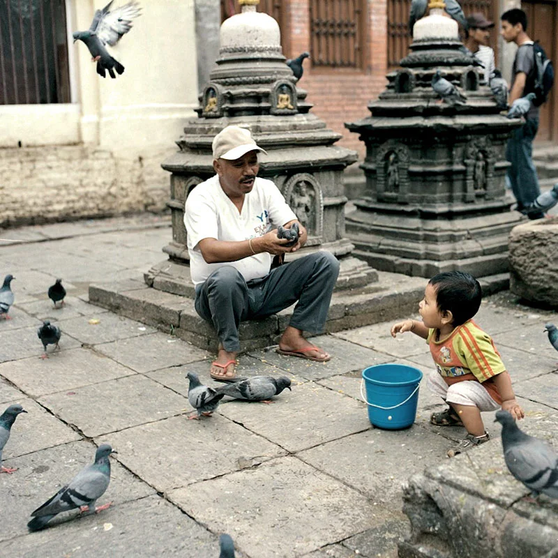 10pigeonman.jpg