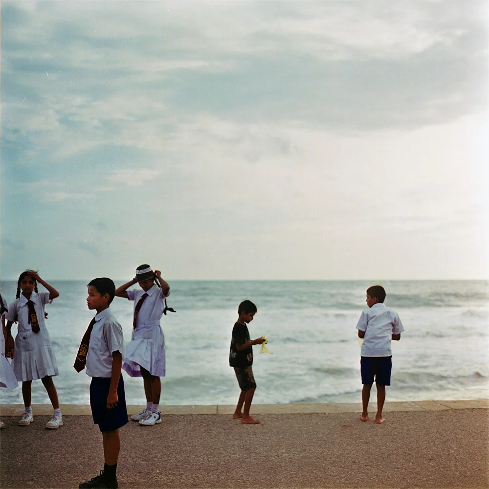 gallefacegreen.jpg