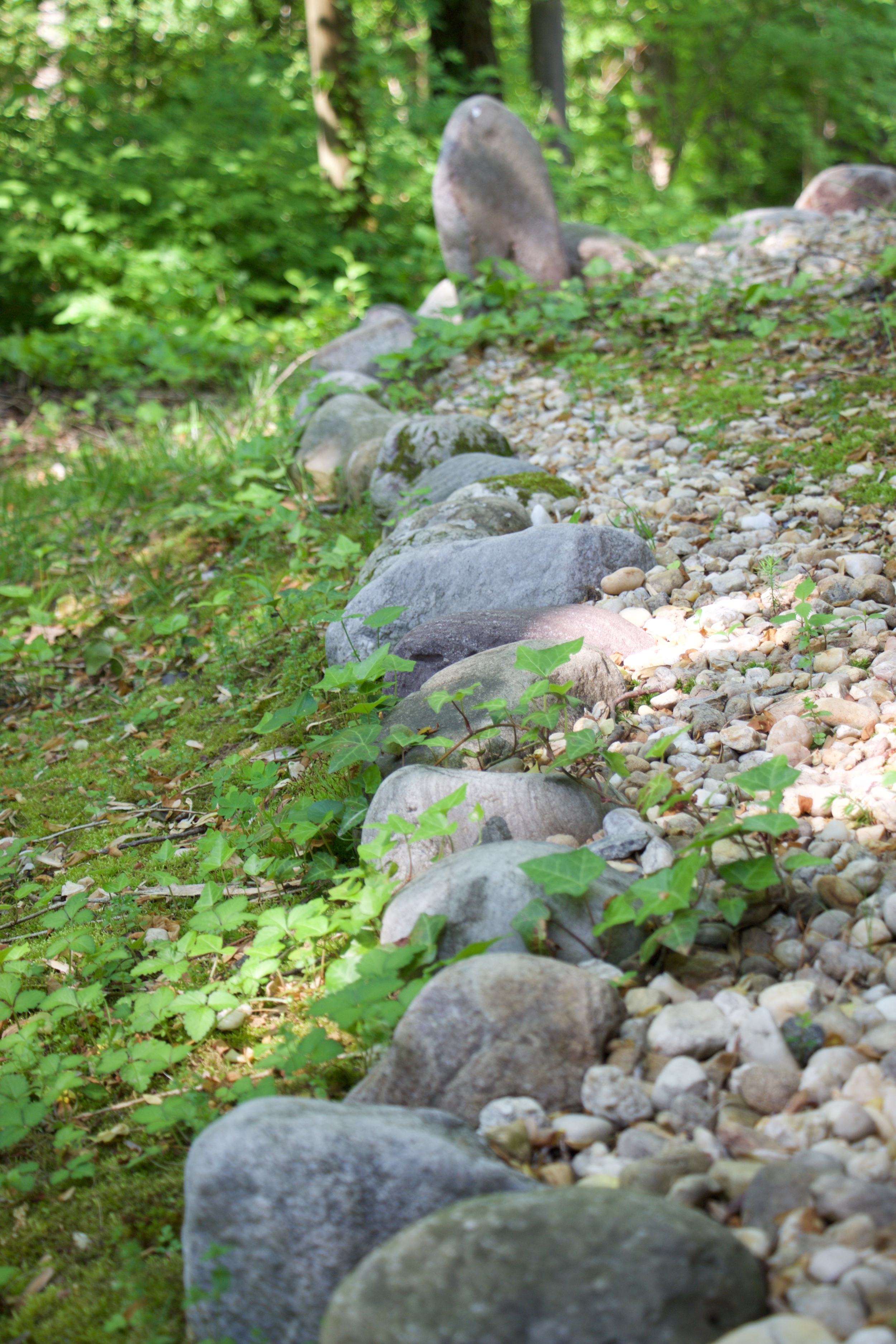 Nature Inspired Creativity