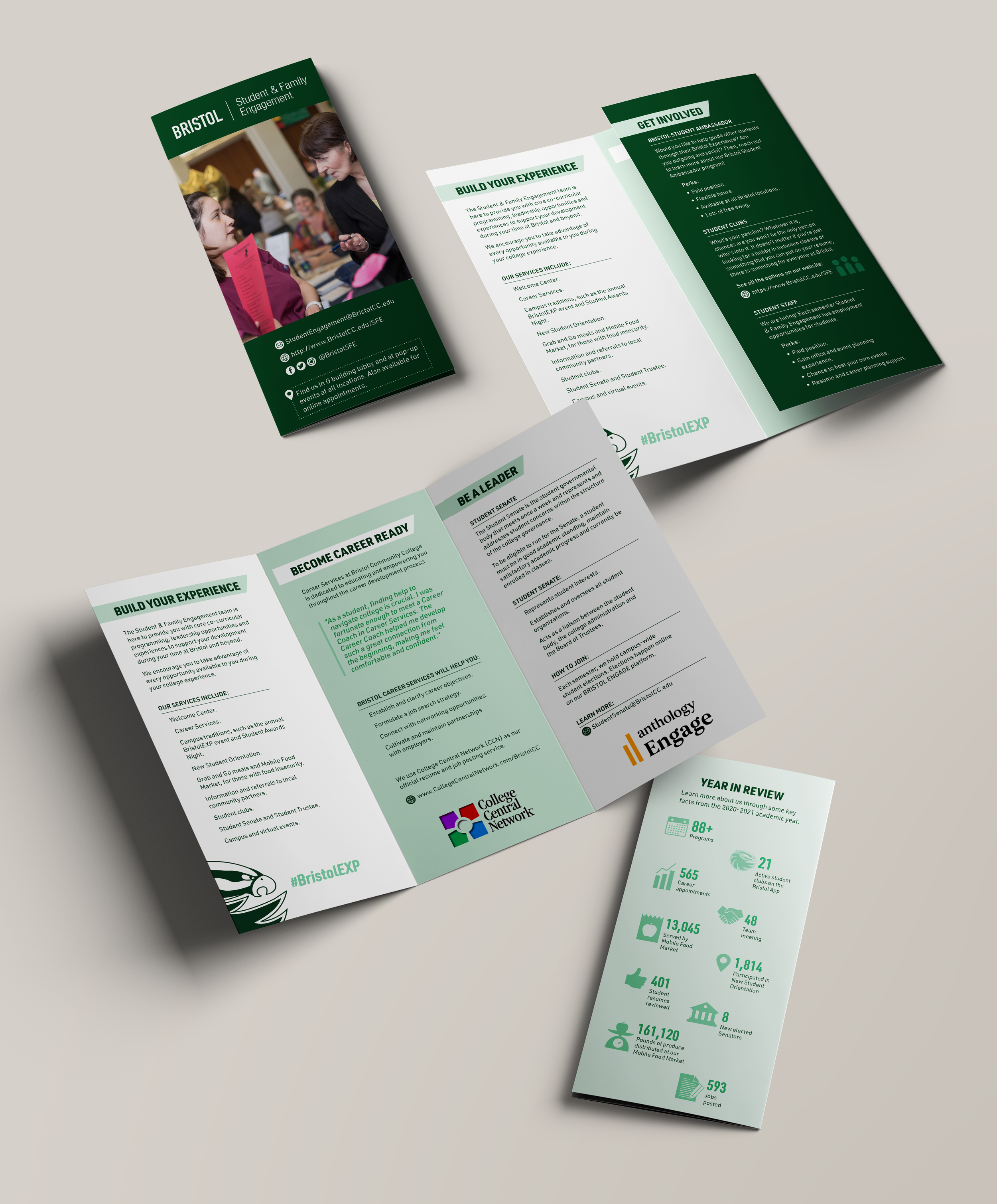 Brochure_Mockup_SFE.png