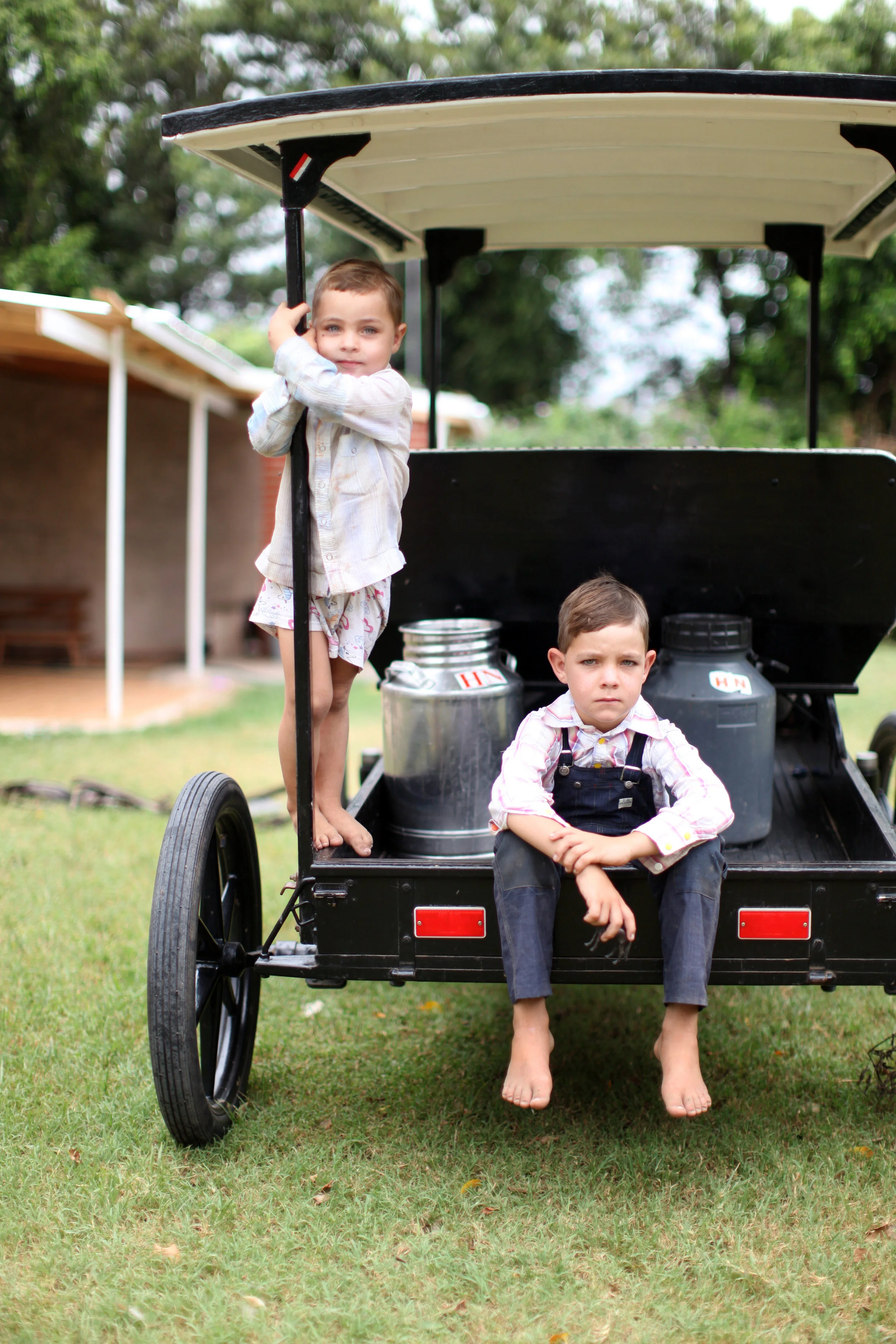 Colony Mennonite Life