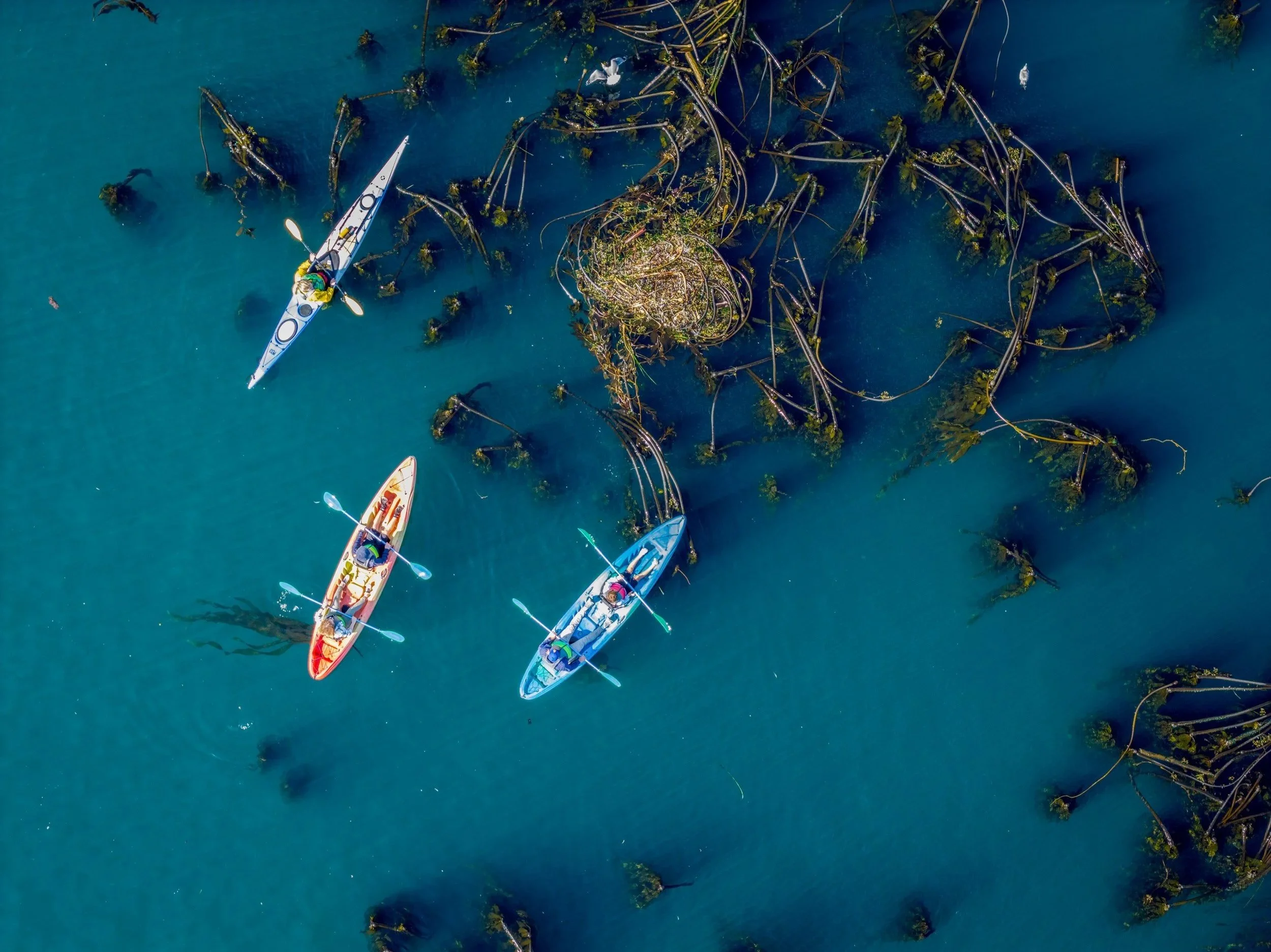 Elevate Outdoors Kayak Tours