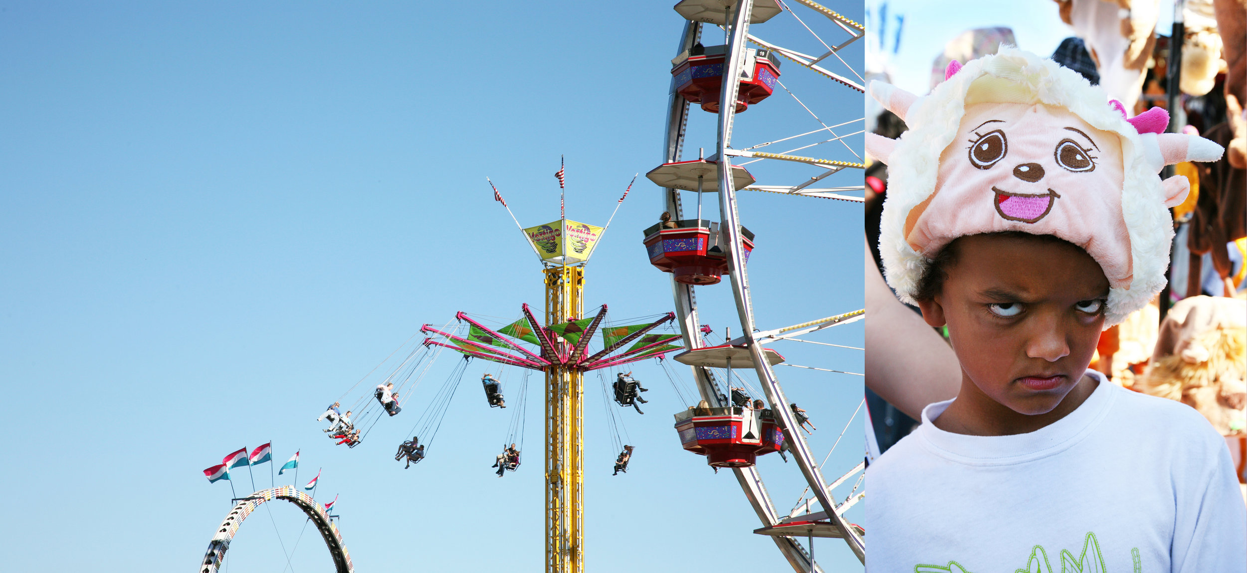 state fair new.jpg
