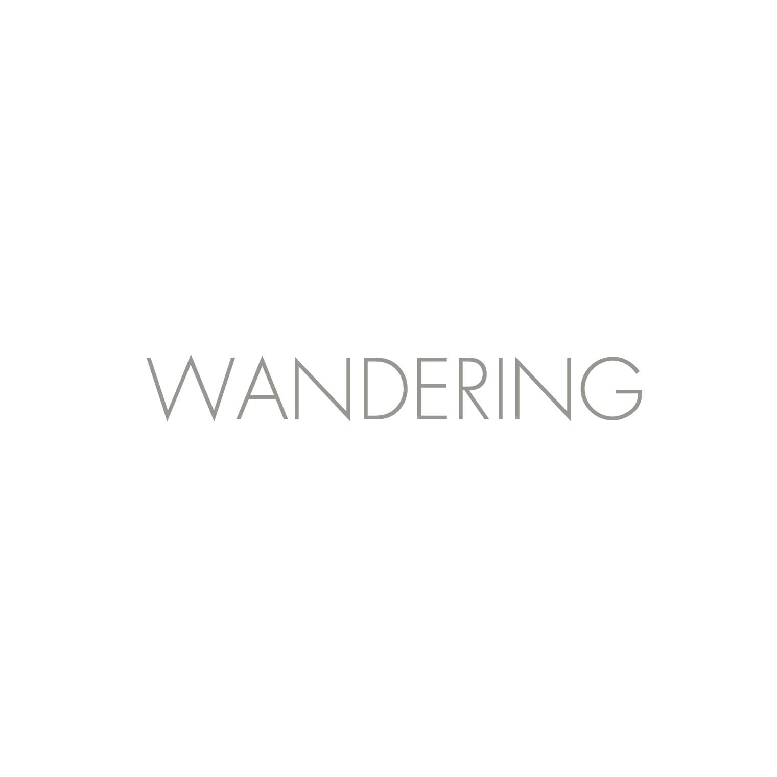 NEW WANDERING.jpg