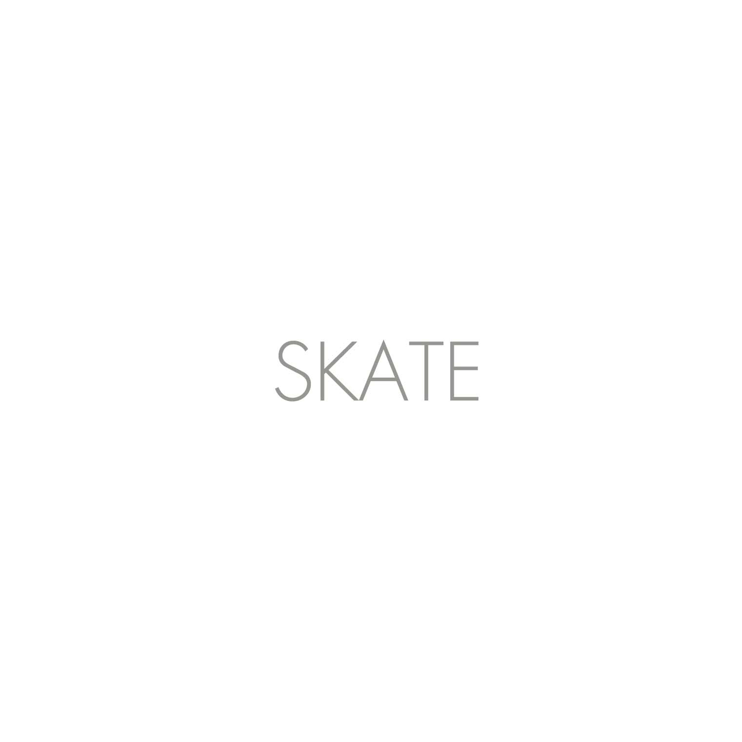 NEW SKATE.jpg