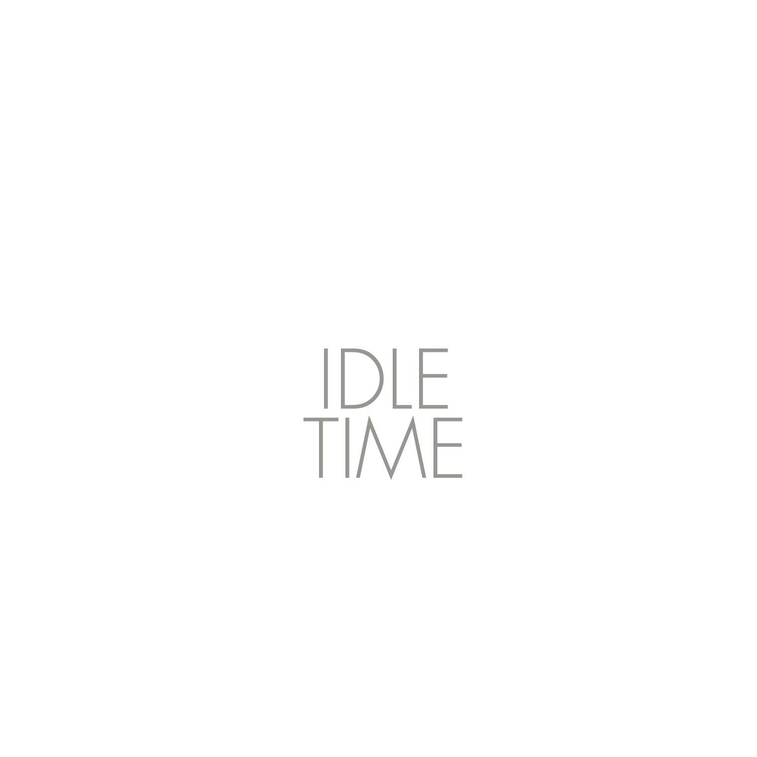 NEW IDLE.jpg