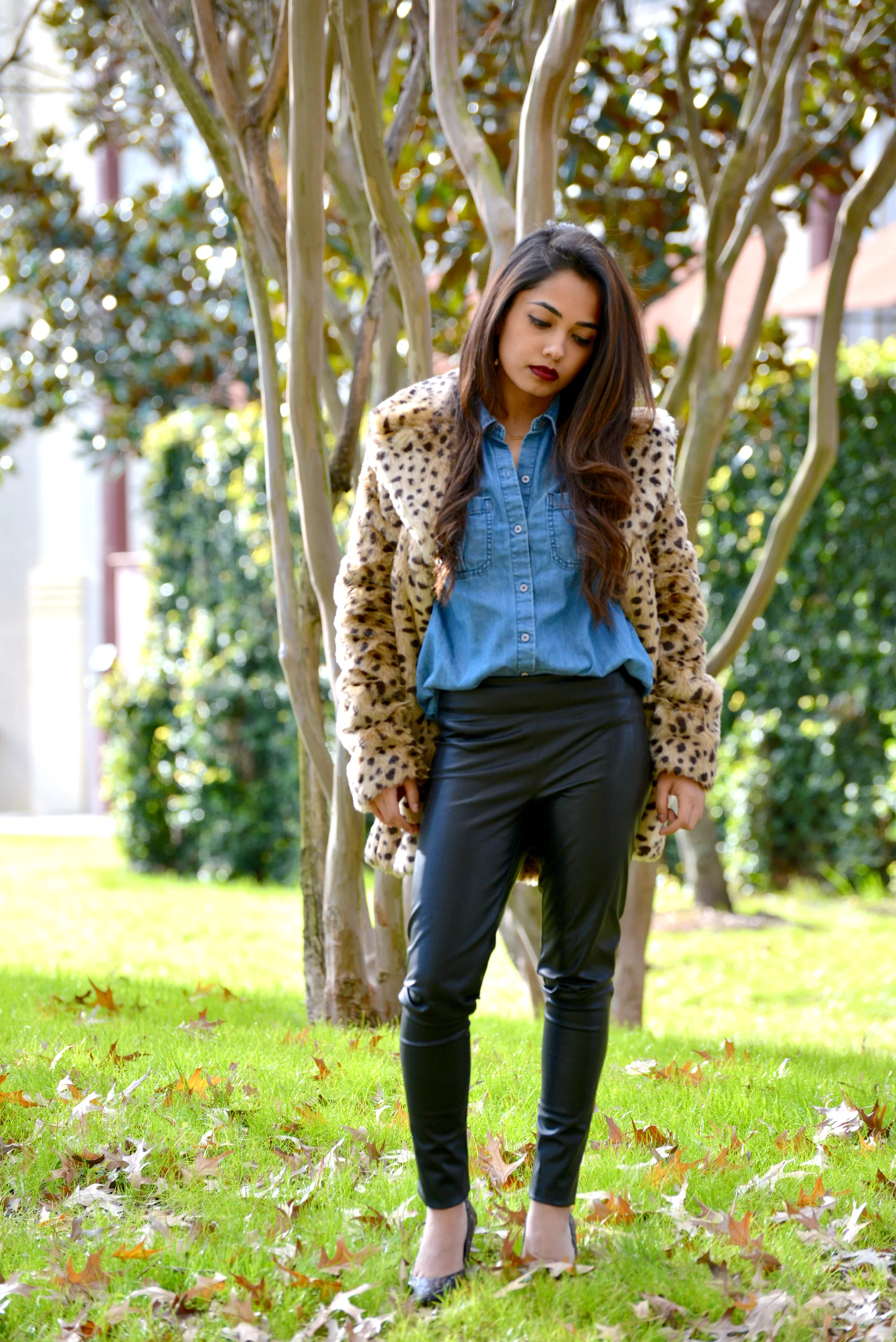 Leopard Love