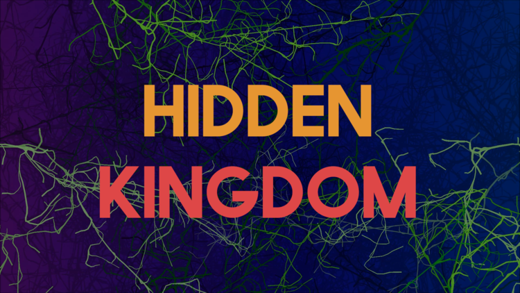 Hidden+Kingdom+Final.00_00_14_03.Still002.png