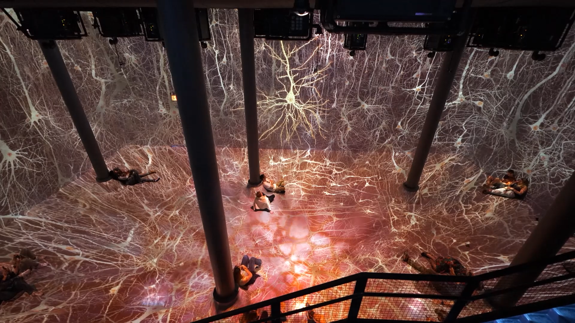 Life of a Neuron