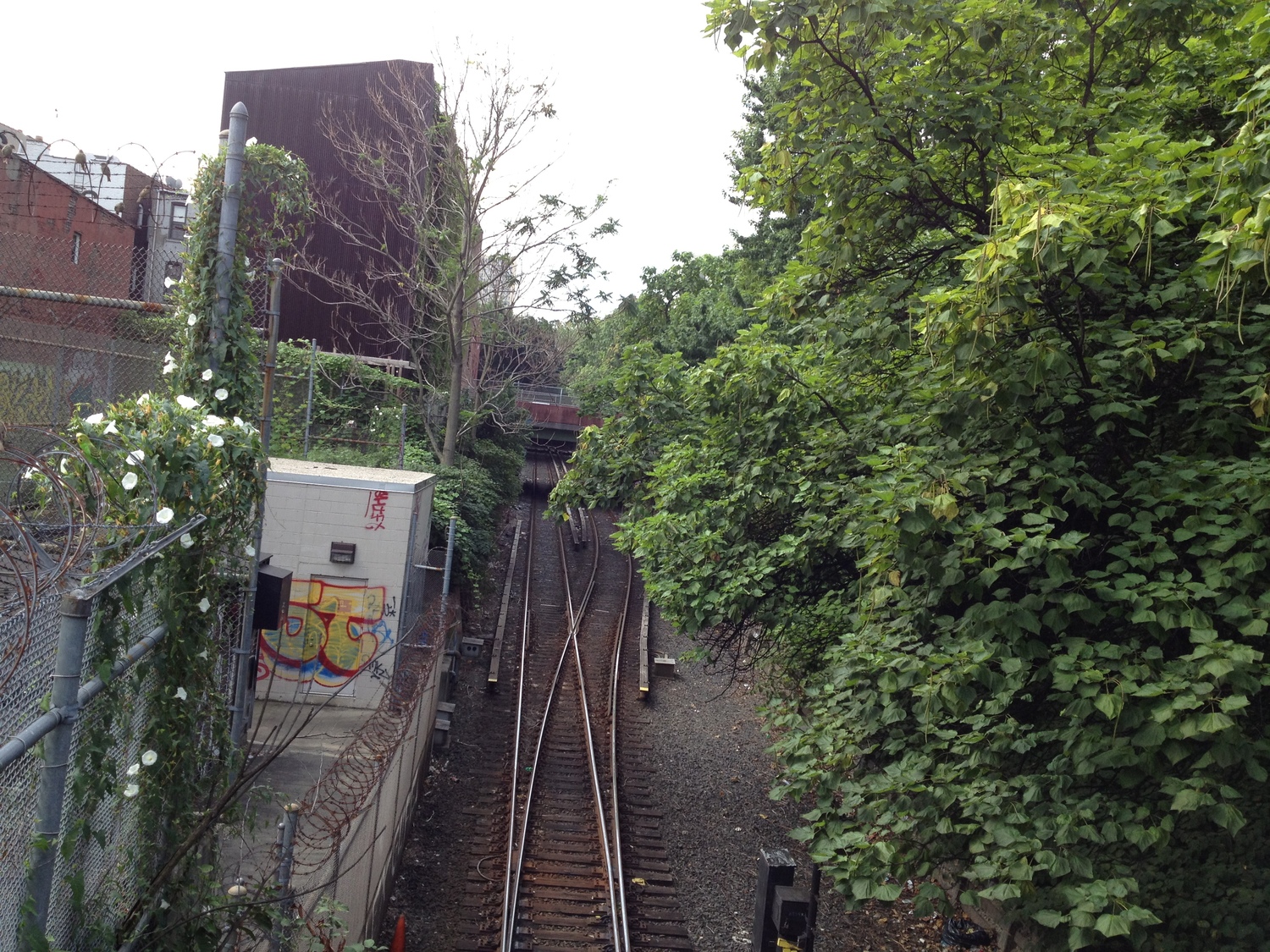 Franklin Avenue