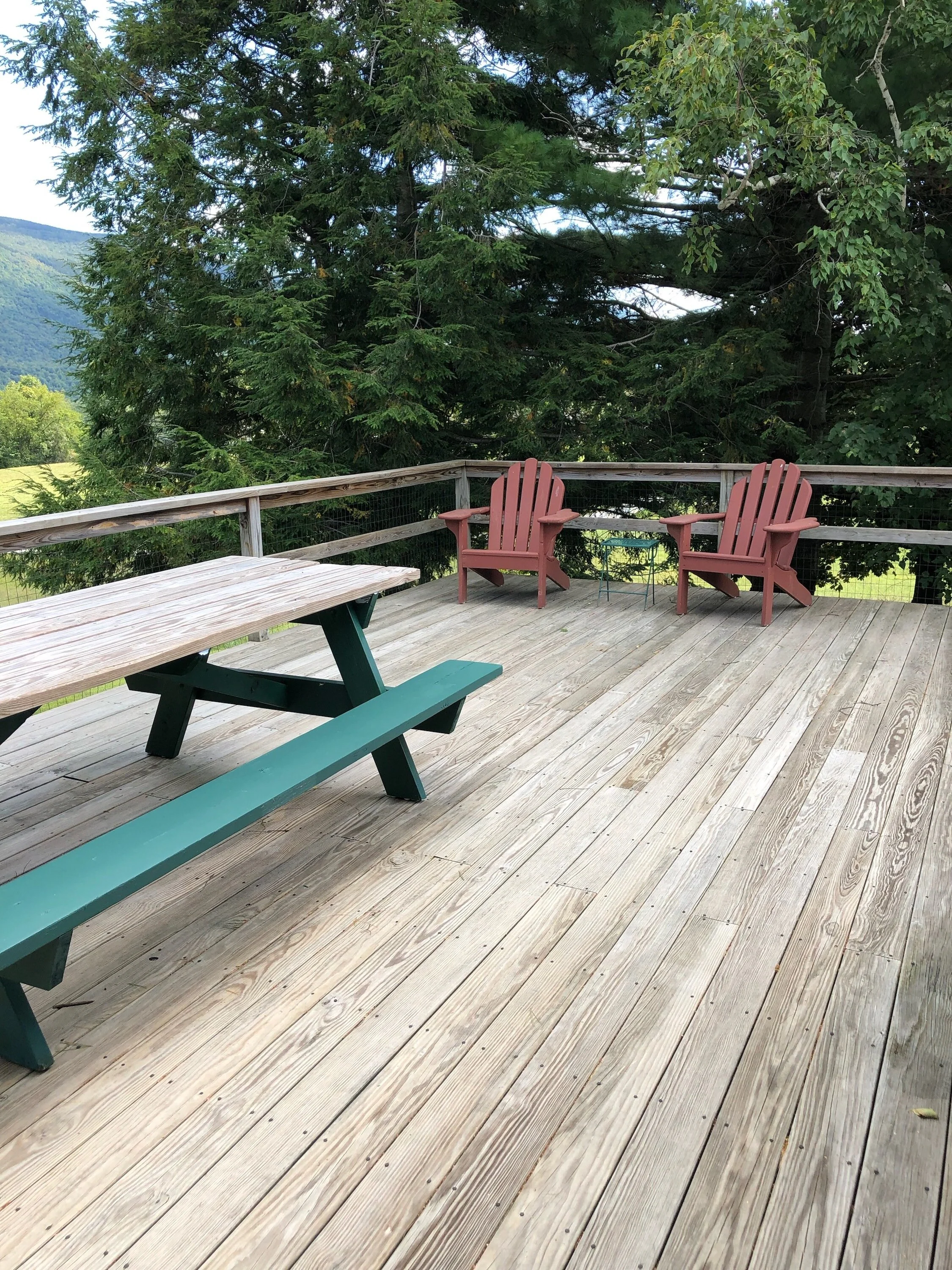 Back Deck .jpeg