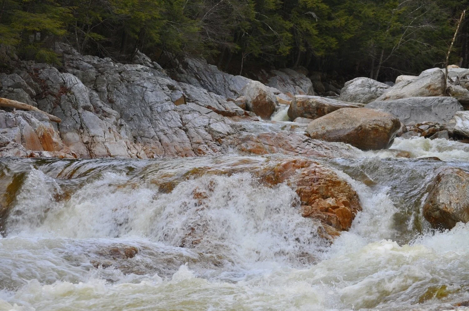 The Big Branch River has spectacular views over its entire length - this is a wild river, untouched by development, cold and crystal clear.