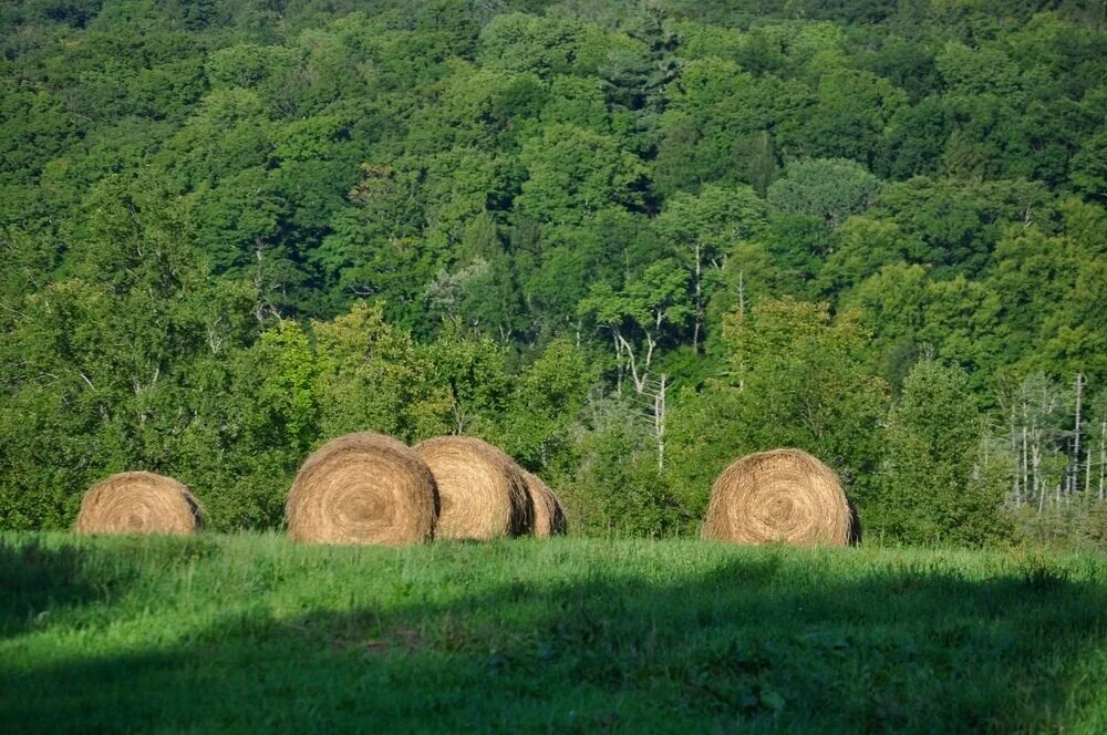 Hay bales in the fields of Mettawee
