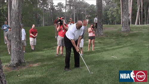 giphy (1).gif