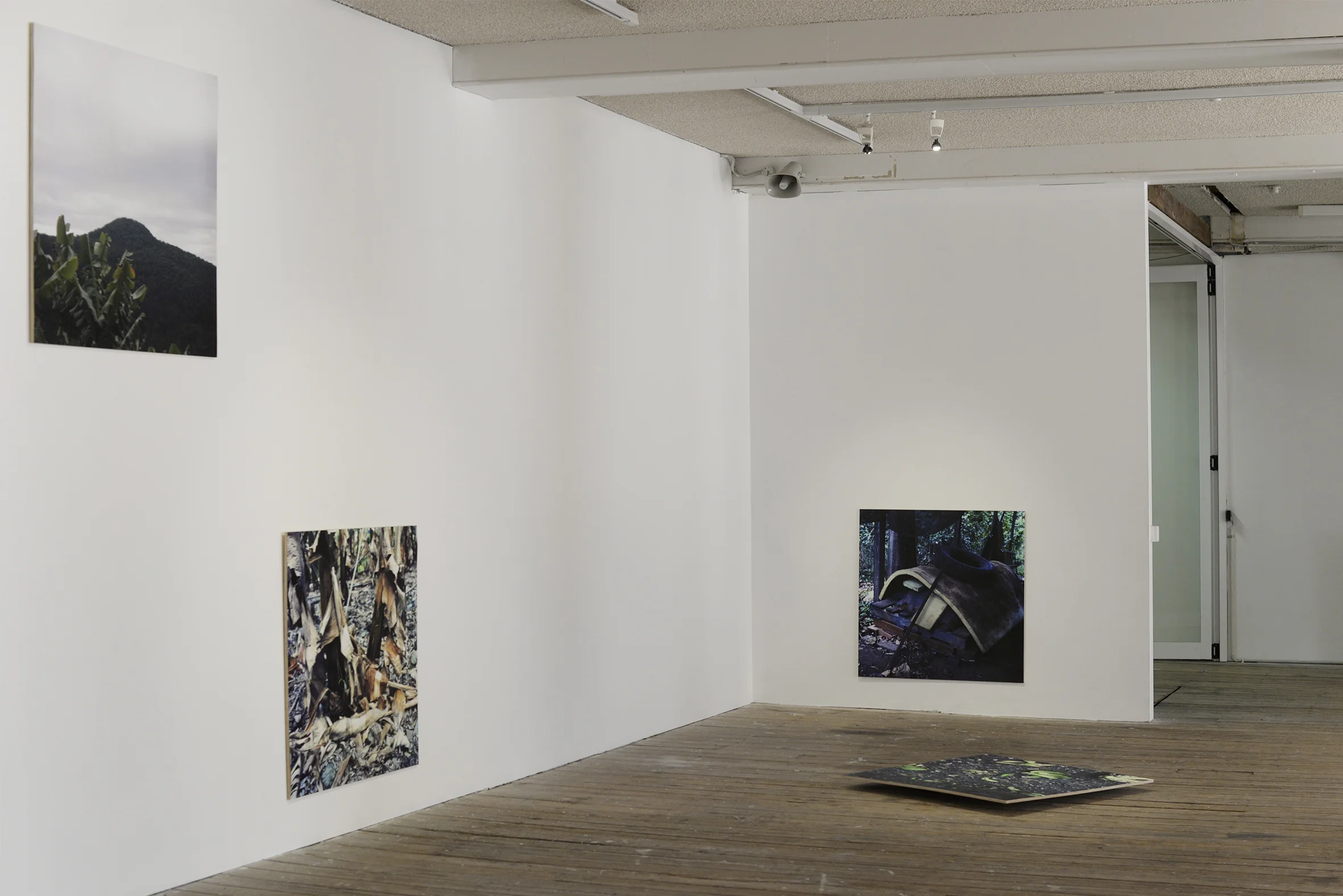 Installation of The height of a Mountain, width of a valley exhibition at Metro Arts. Collaborative exhibition with Bridie Gillman and Kylie Spear based on residency in Taylors Arm (NSW). Photograph by Bridie Gillman.