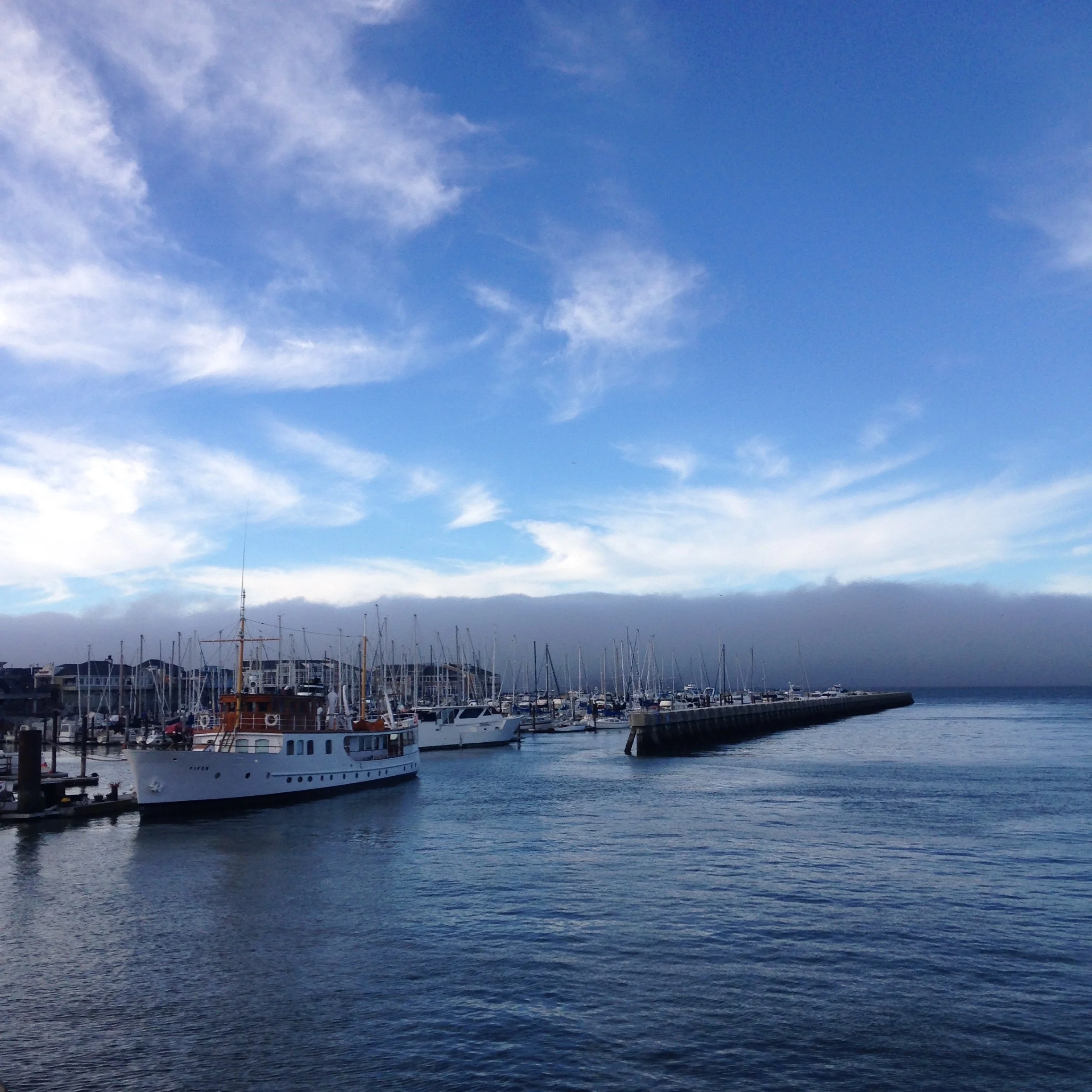 We've been enamored with the fog from the very beginning and still are. 