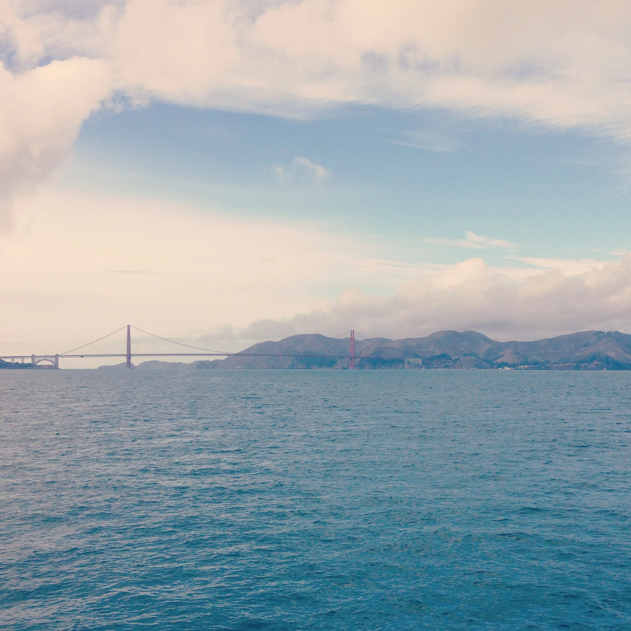 Another one of those backyard-golden-gate shots. Seriously, it never gets old. 