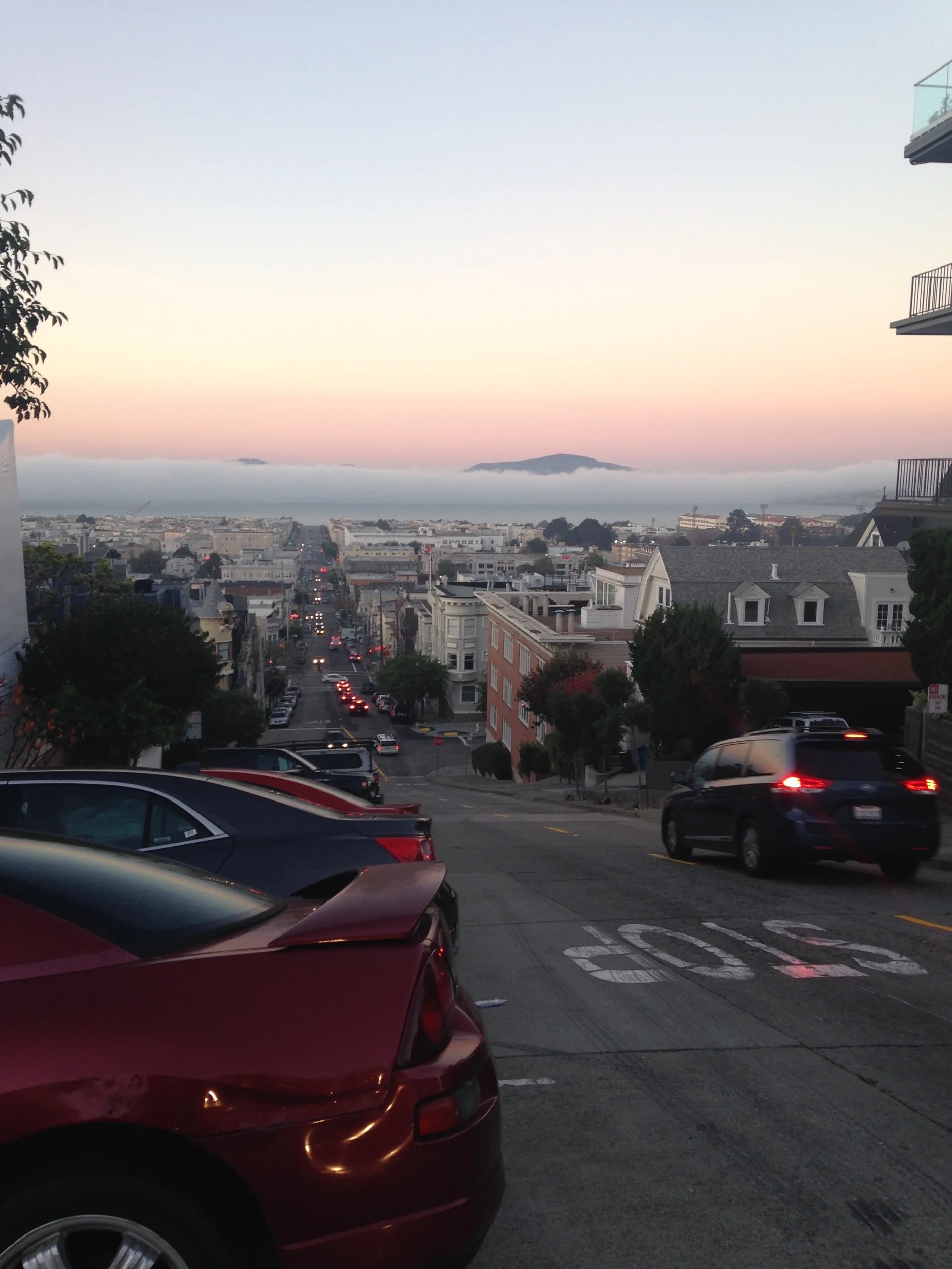 More fog. And killer views. Can you tell we were smitten? The view from the Fillmore Street Steps is one of the most spectacular but accessible views around. 