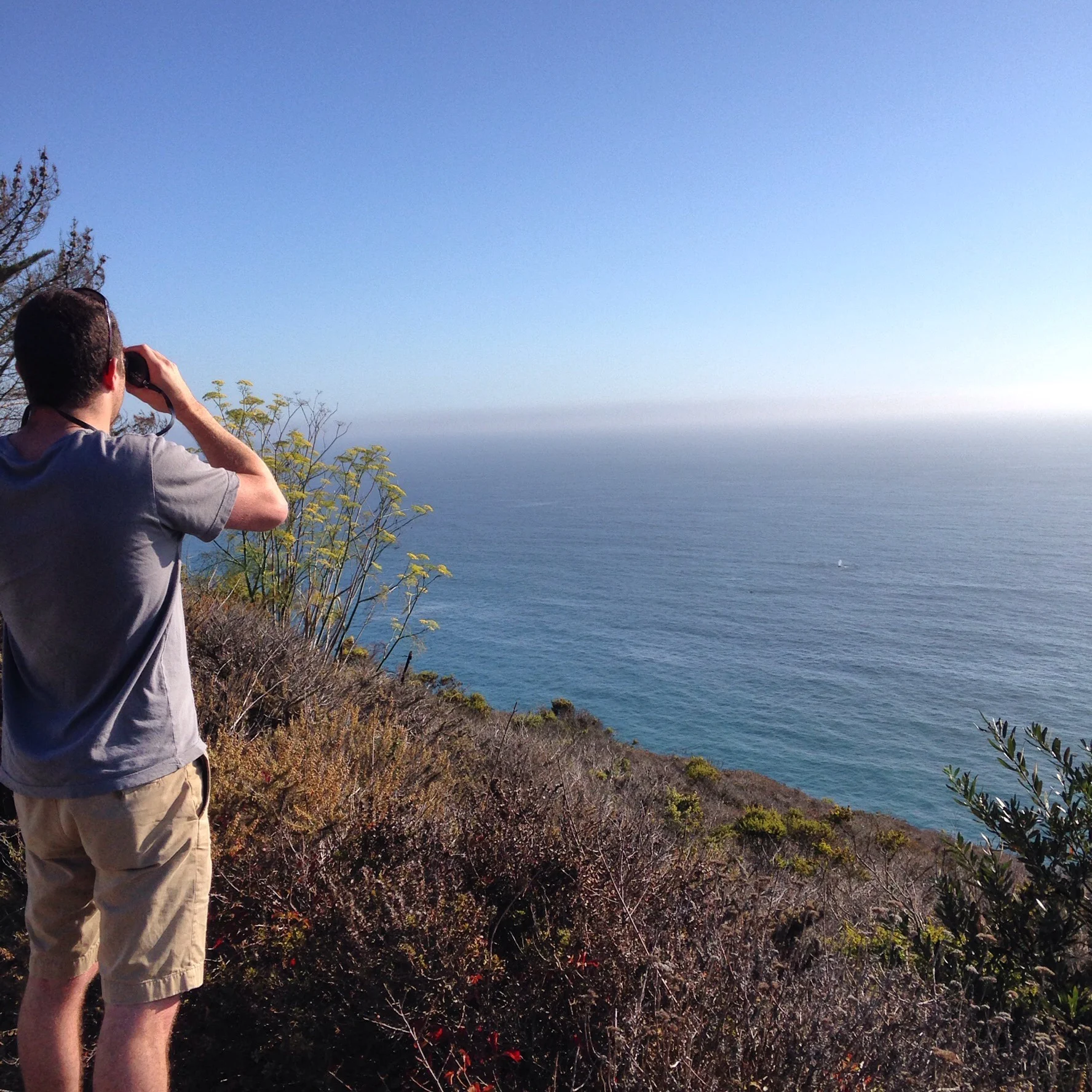 We spotted whales on a trip down the coast! Read all about our trip to a sleepy beach town.