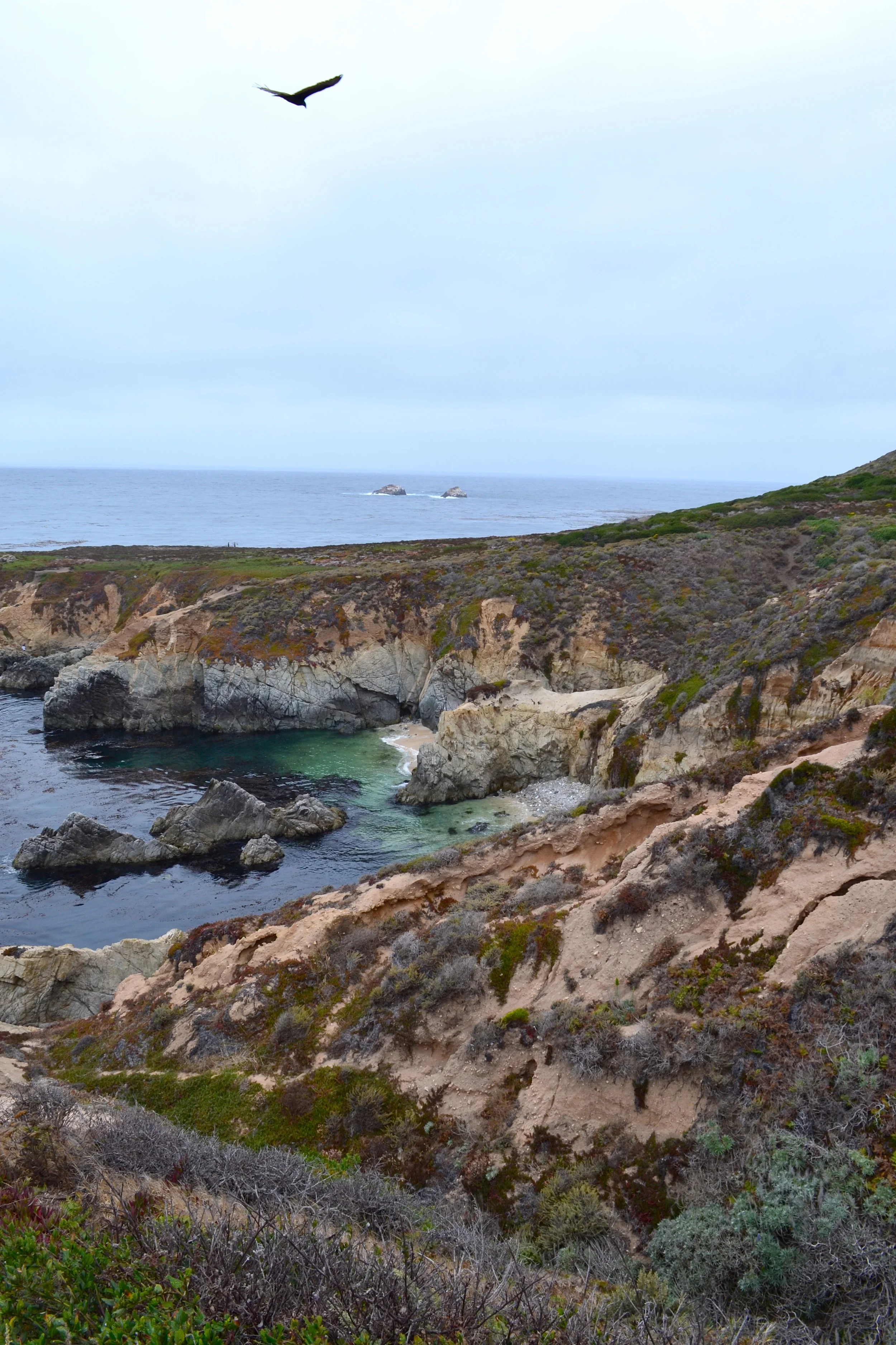 Big Sur01.jpg