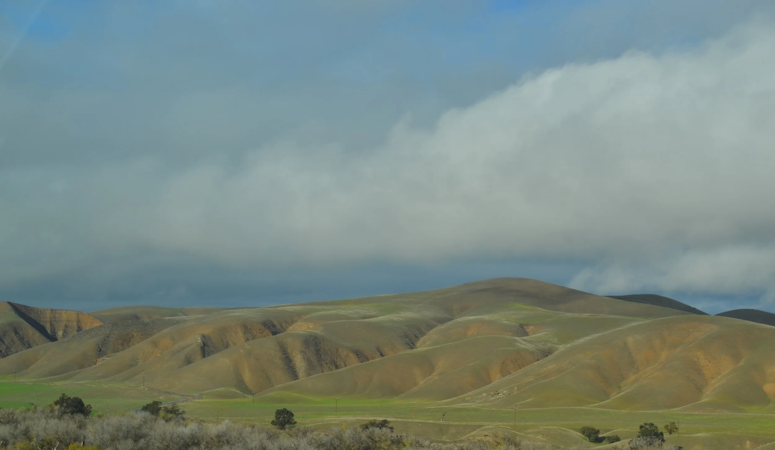 And here are a couple shots from our drive home. Because like I said before, California is pretty great. 