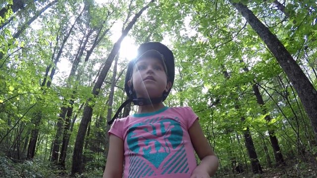 Not Quite Out of the Woods