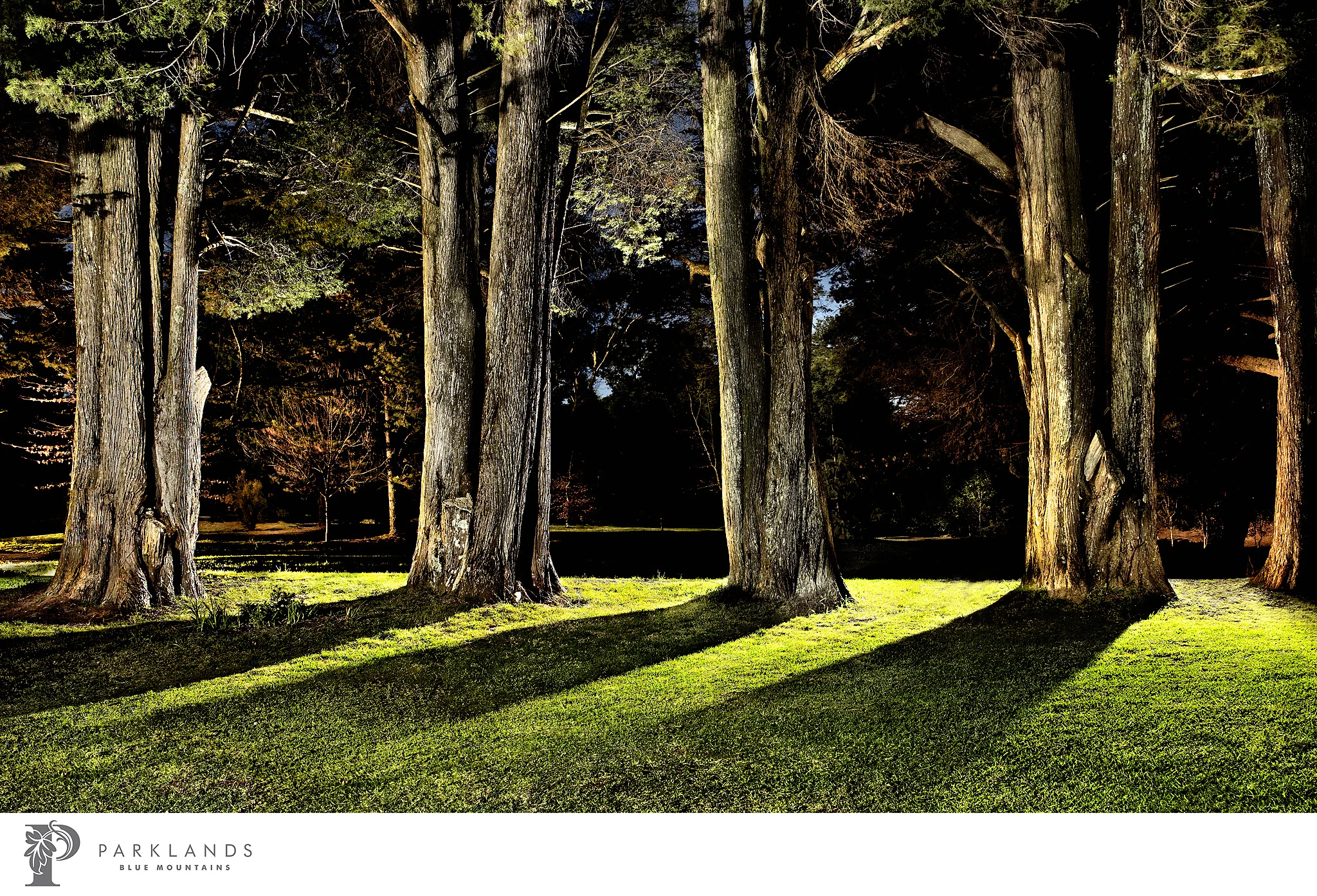 Parklands-2.jpg