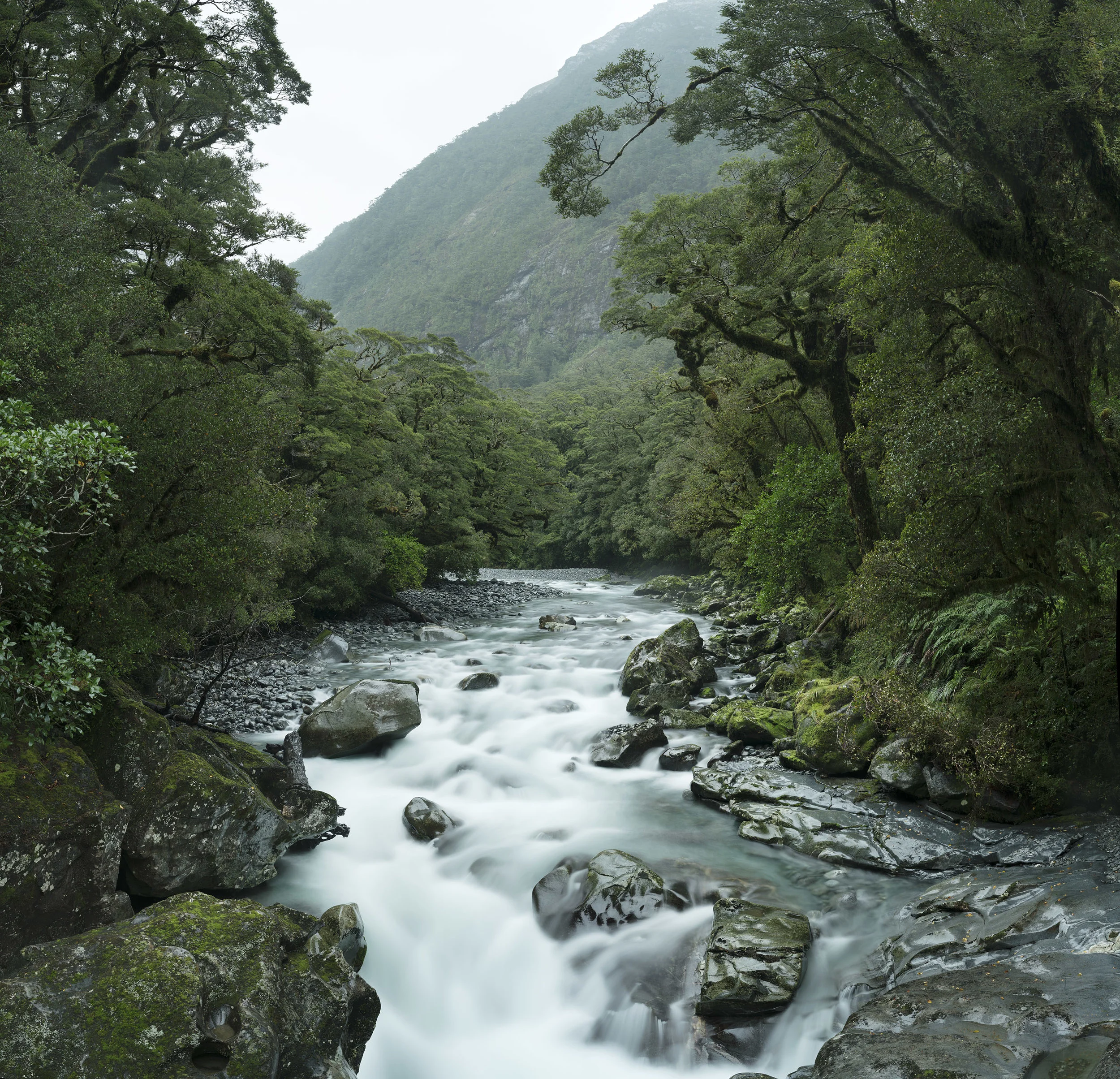 "NEW ZEALAND" Series The South island if New Zealand is a beautiful untouched part of this world and holds a treasure trove of amazing landscapes. On two visits I have only scratched the surface but have come away with some inspiring photos. Apart from the annoying Sand Flies the place is a complete paradise and I look forward to many more visits. Buy prints from this series.