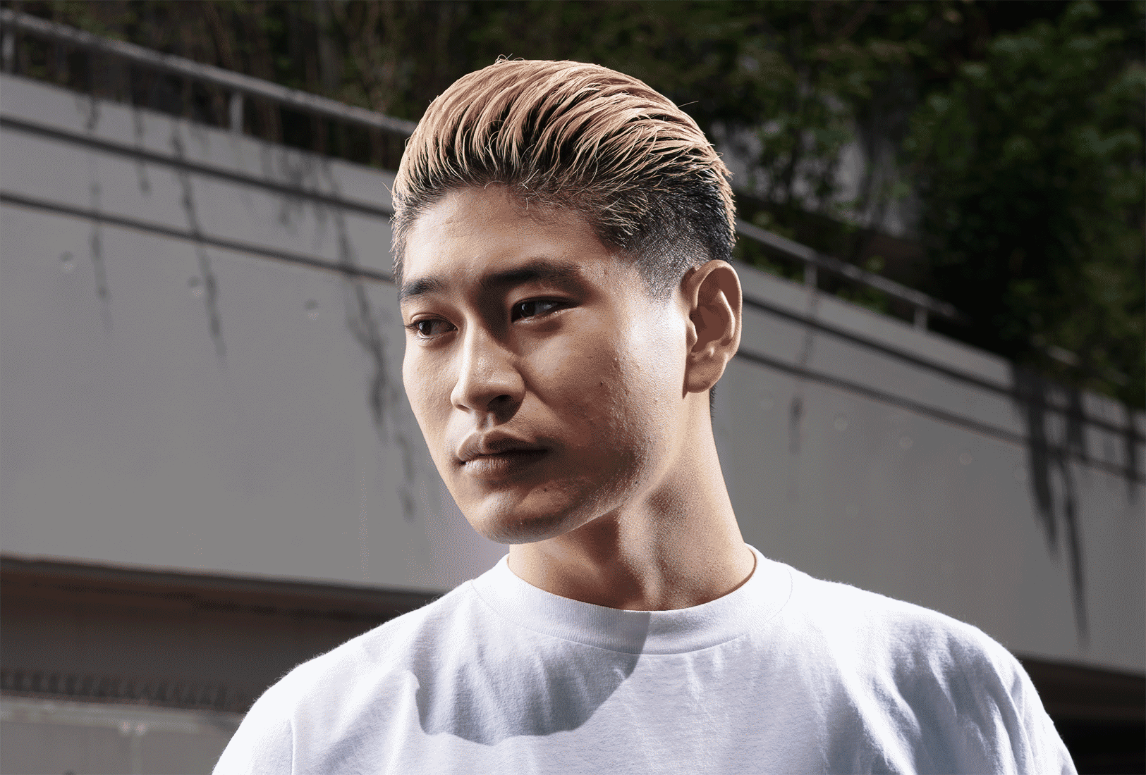 _AAA0470.gif