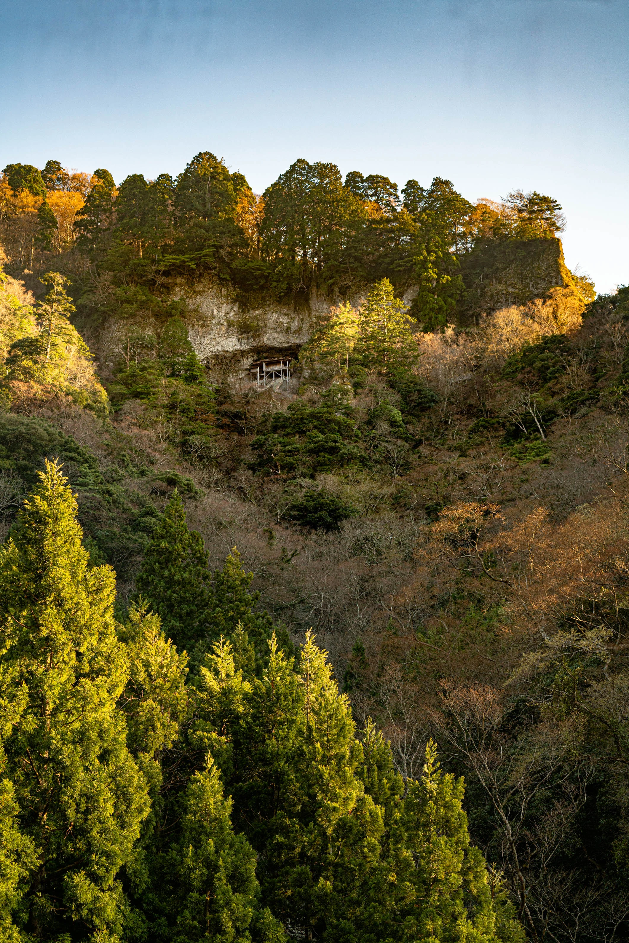 _DSC6904.jpg