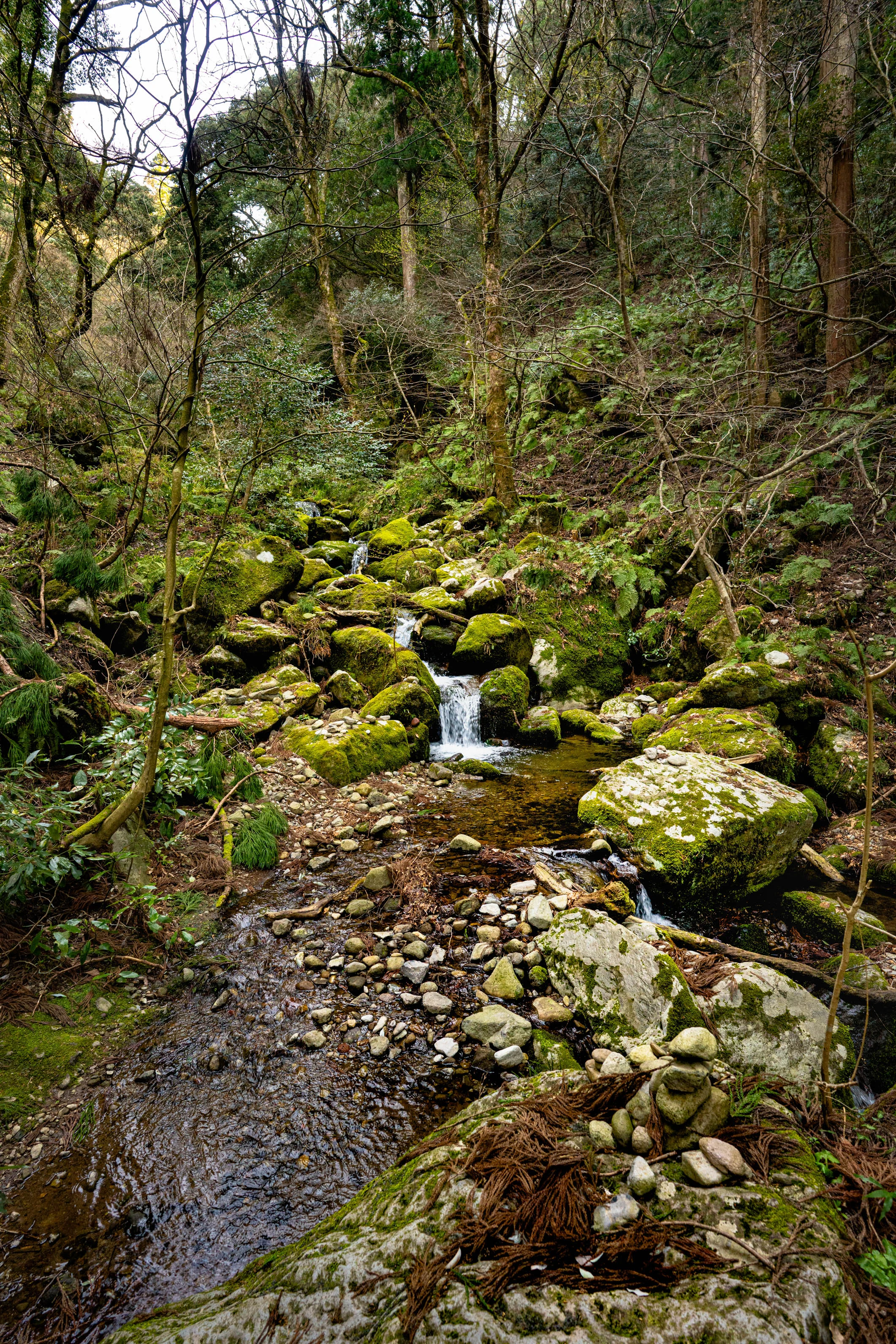 _DSC6852.jpg