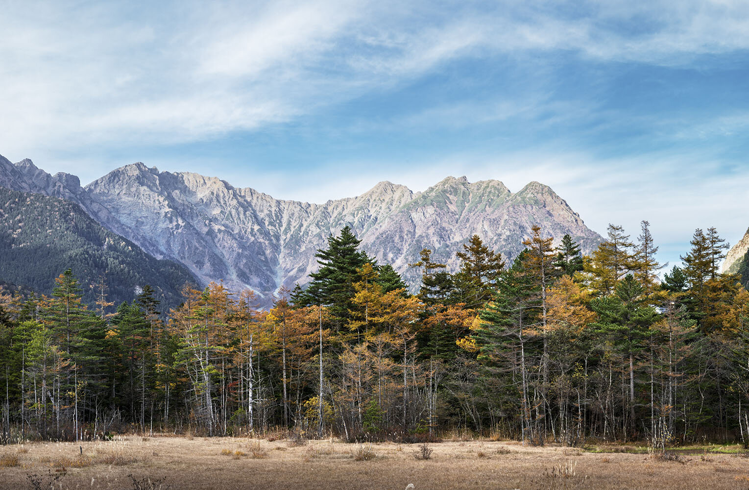 [Group 17]-_DSC6016__DSC6025-4 images.jpg