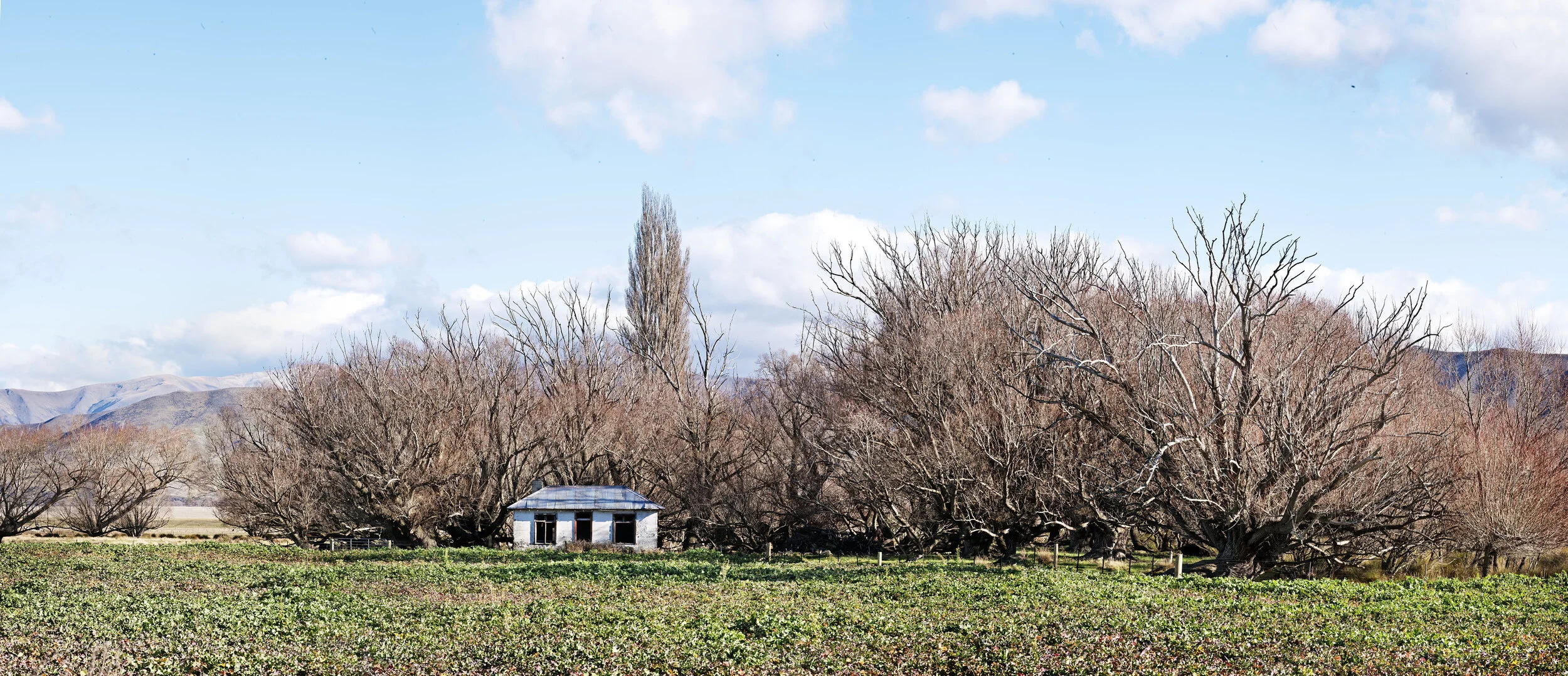 N.Z._Panorama8.jpg